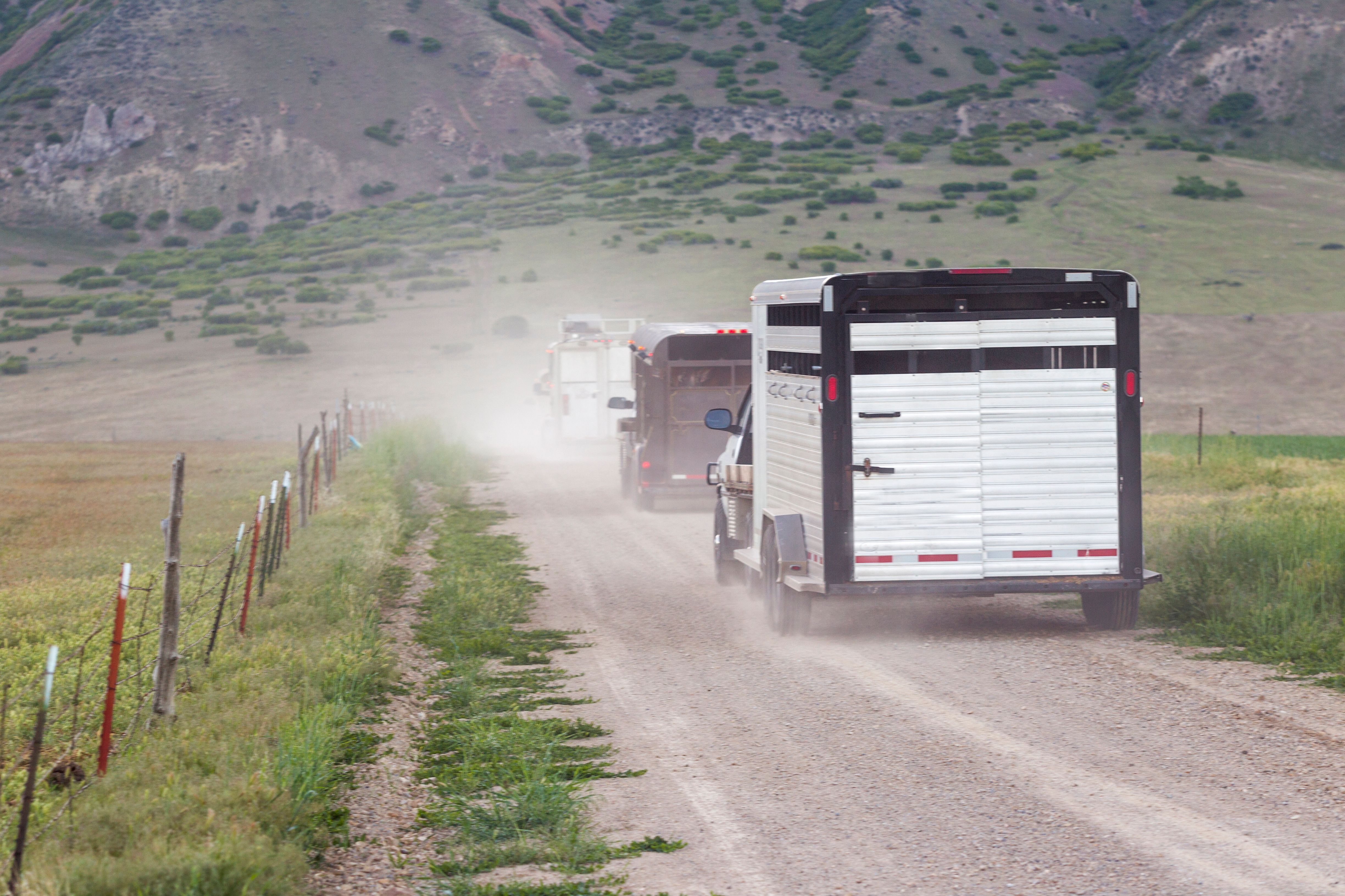 cattle transport route