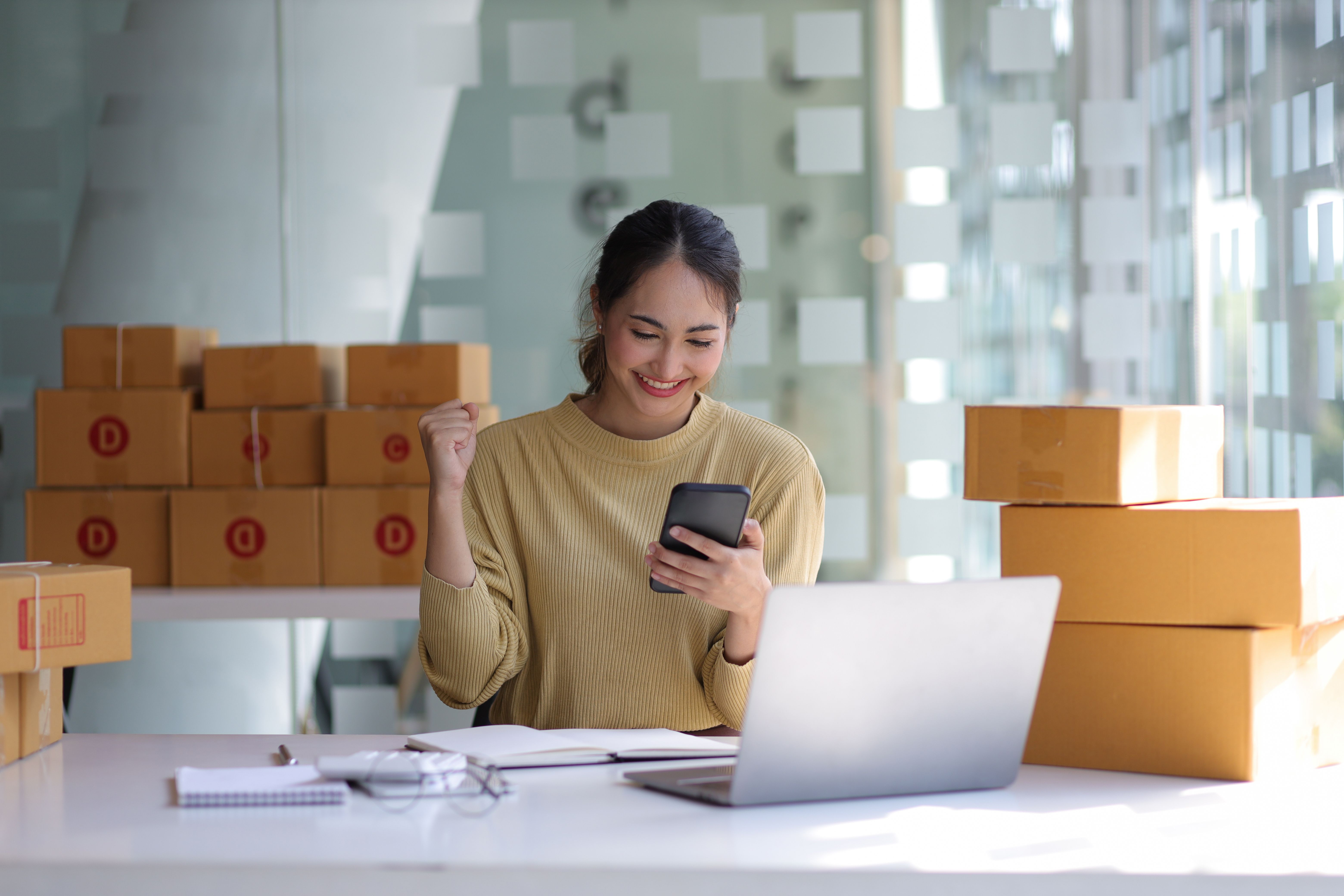 online seller logistics