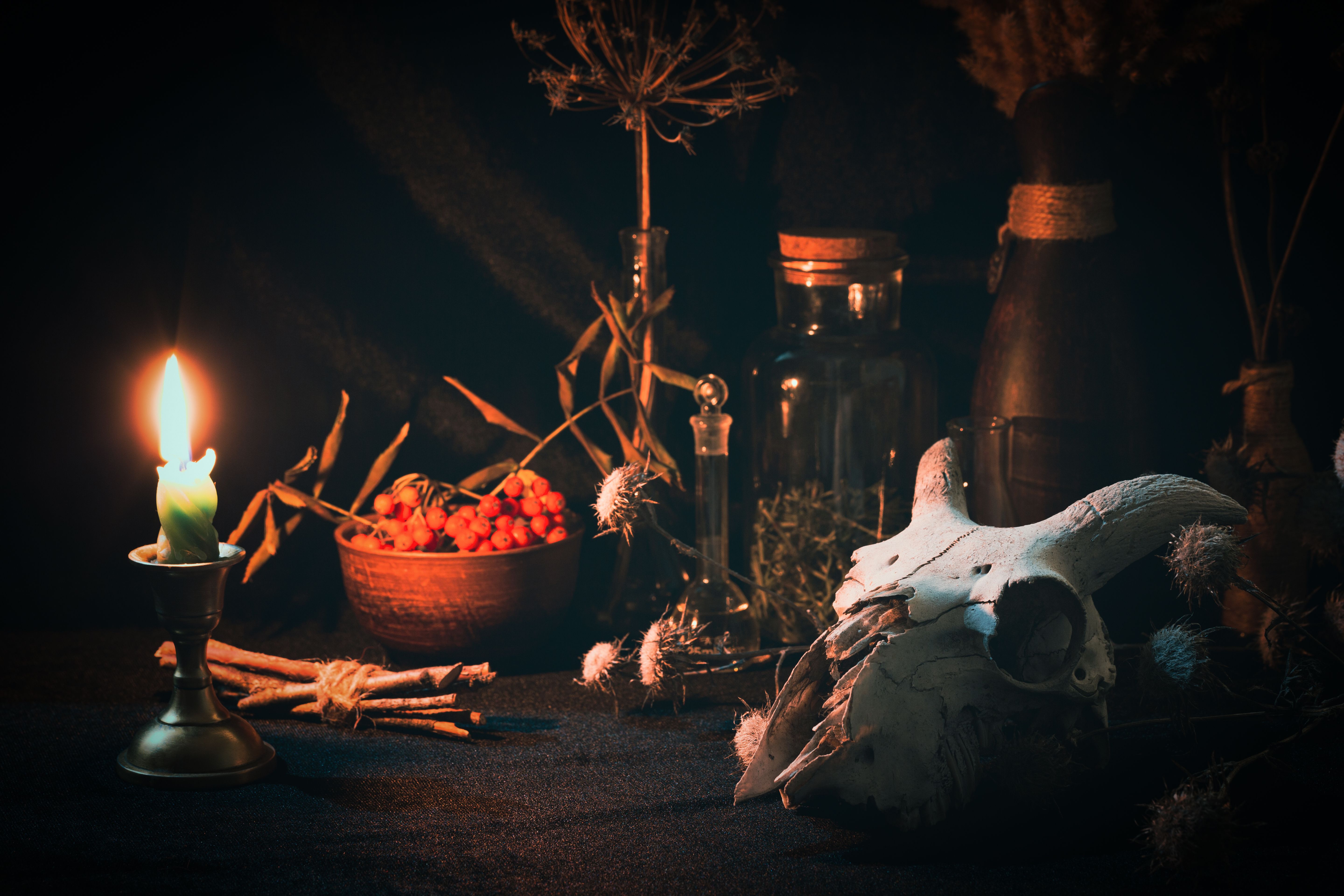 Samhain night. Witchs altar with goats skull, burning candle, dry herbs and magic vessels in the dark, low key, selective focus.