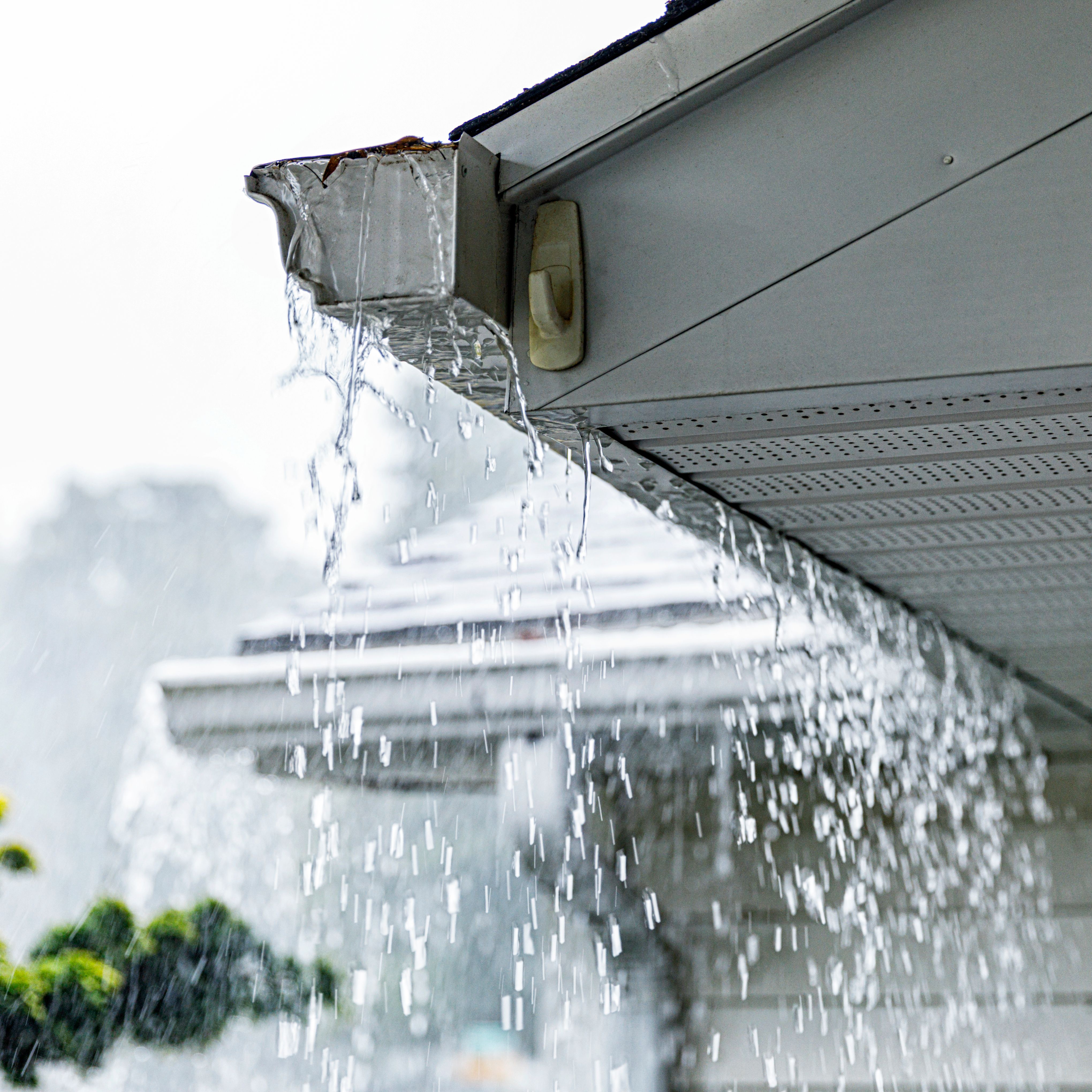 clogged gutters