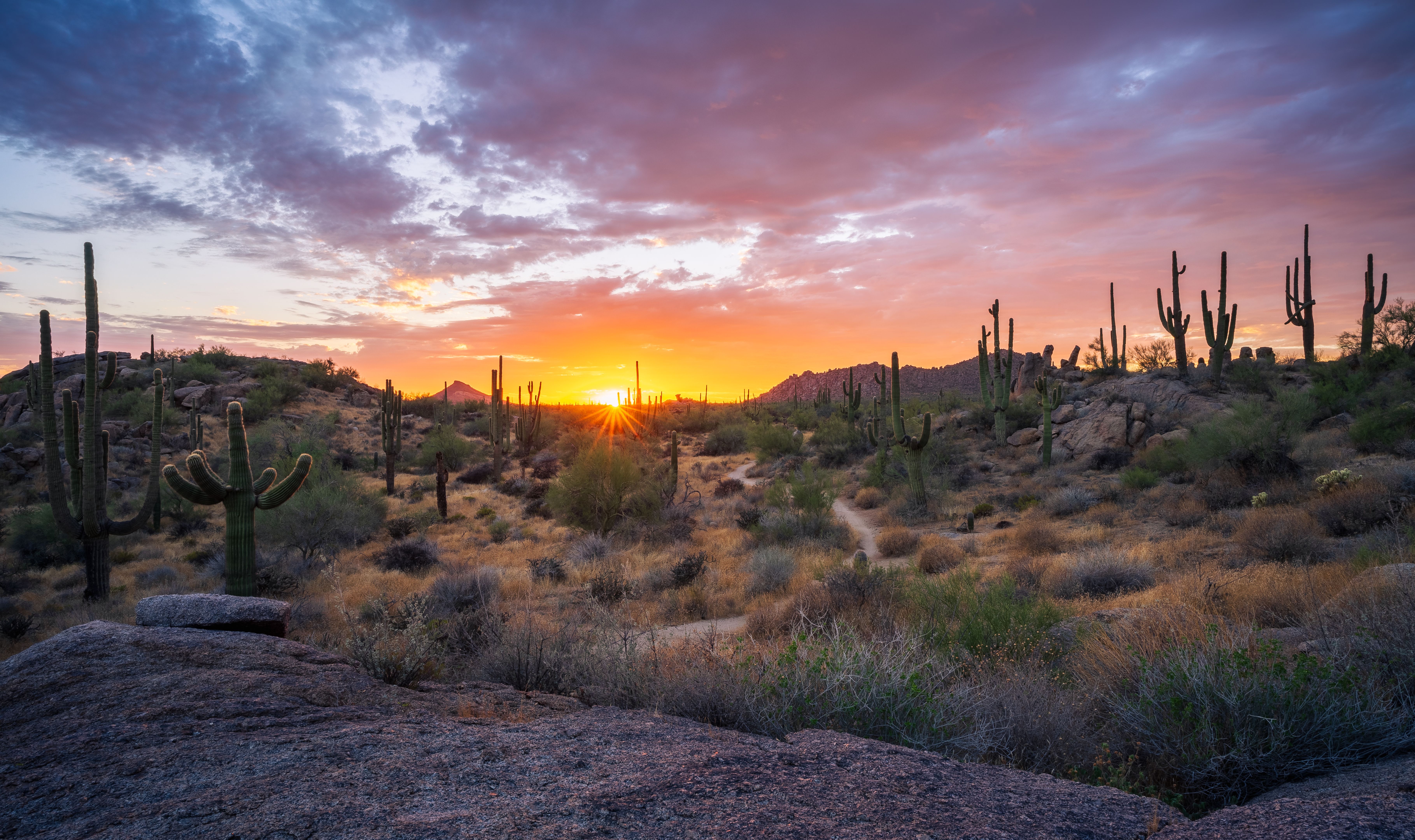 arizona landscape