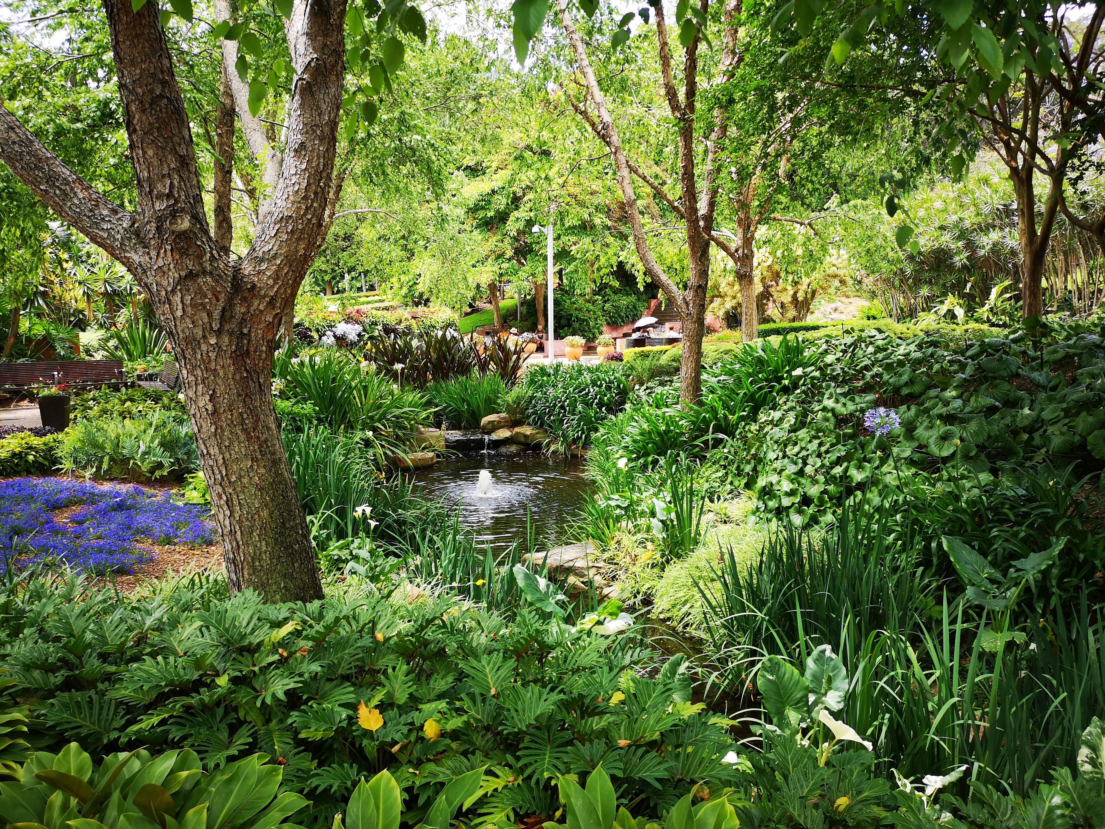 roma street parkland