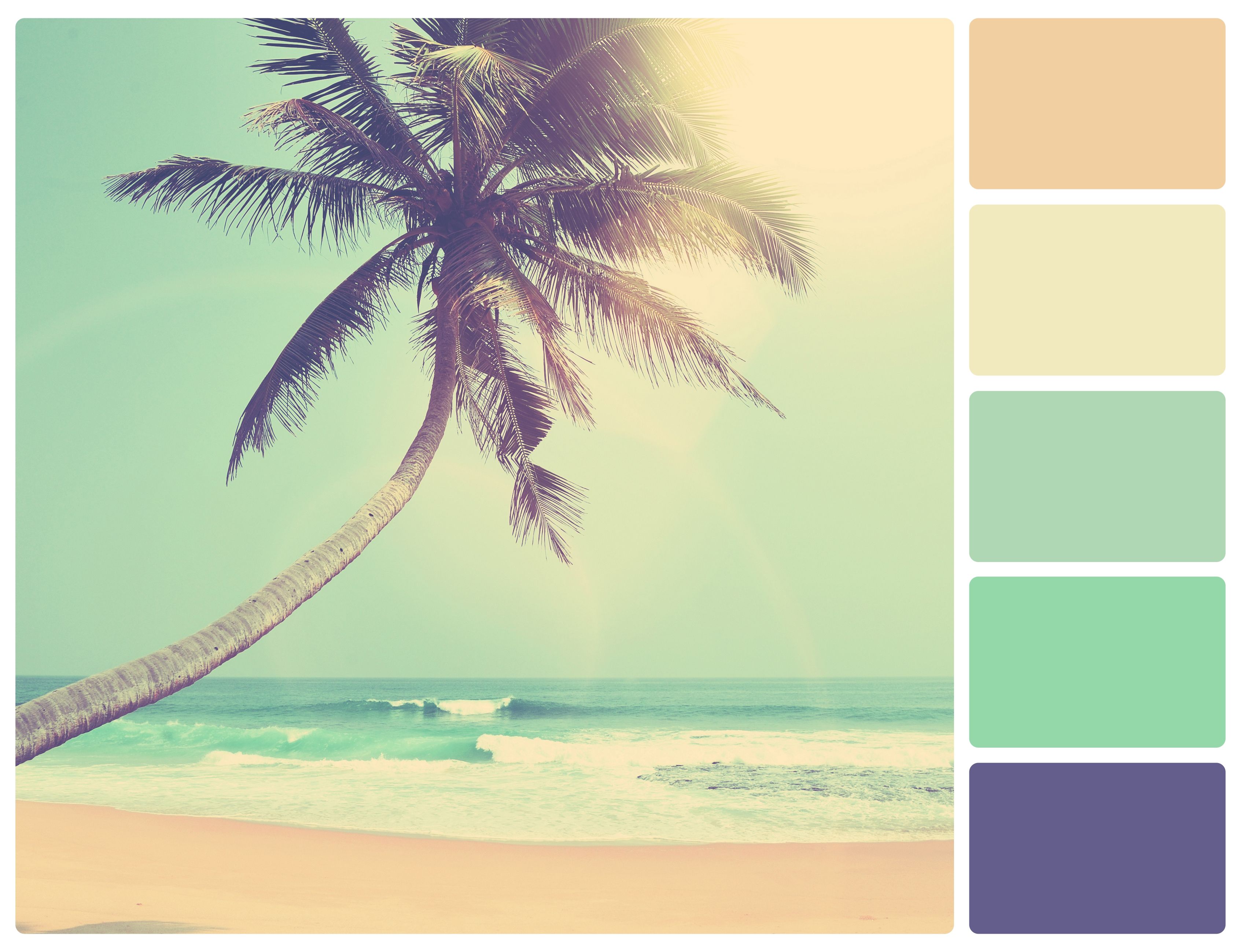 beach wedding color palette