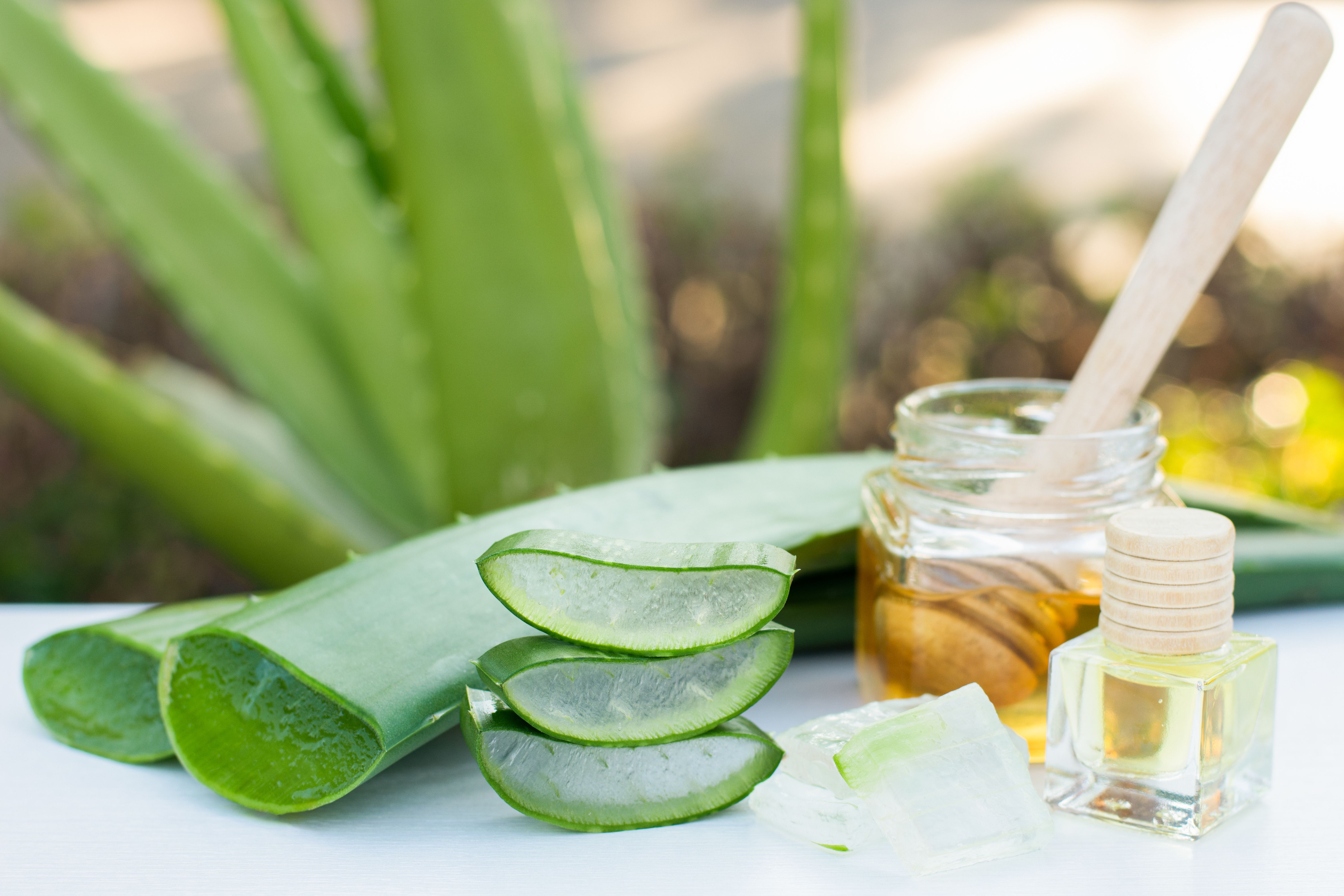 aloe vera honey