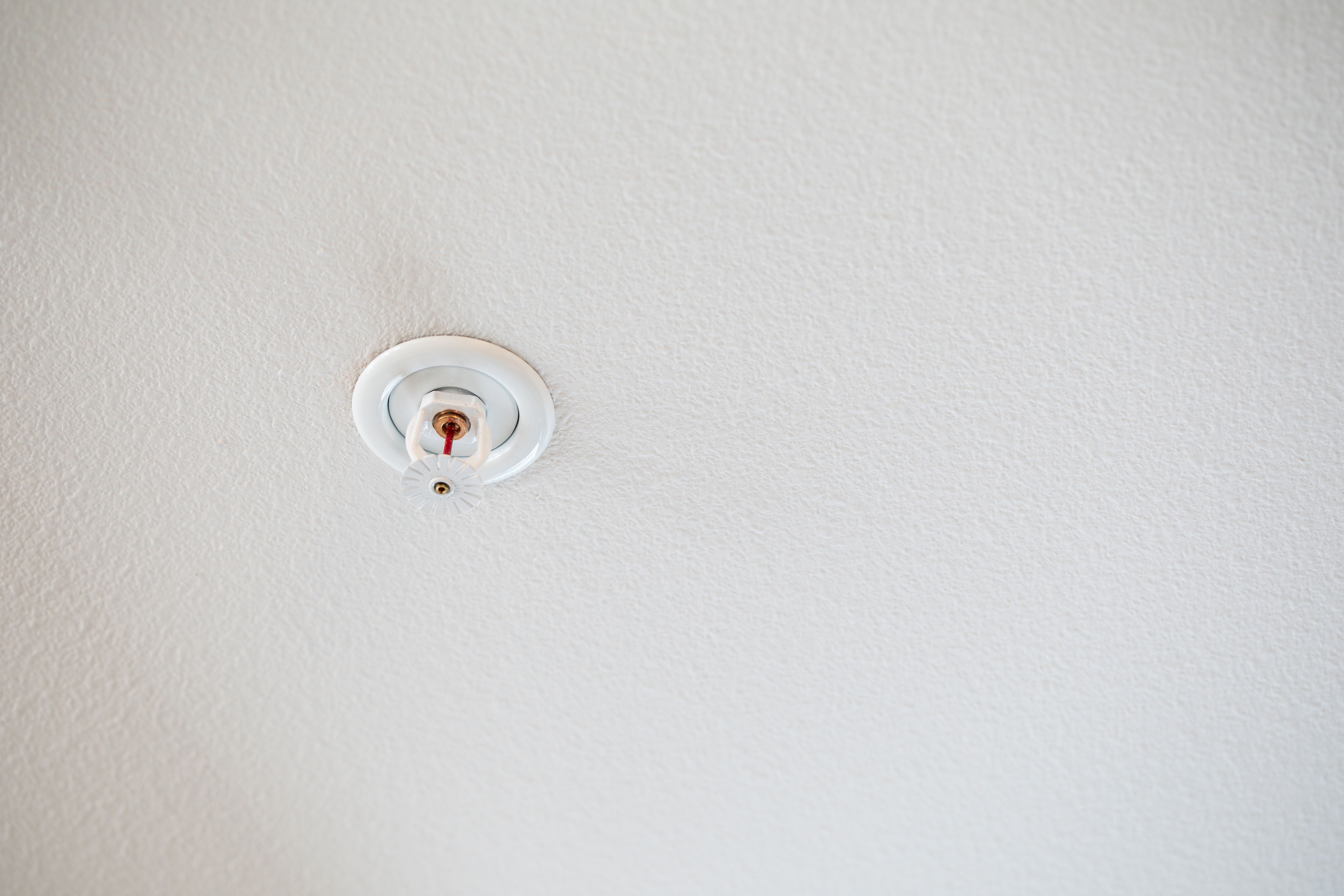 garrett metal detector