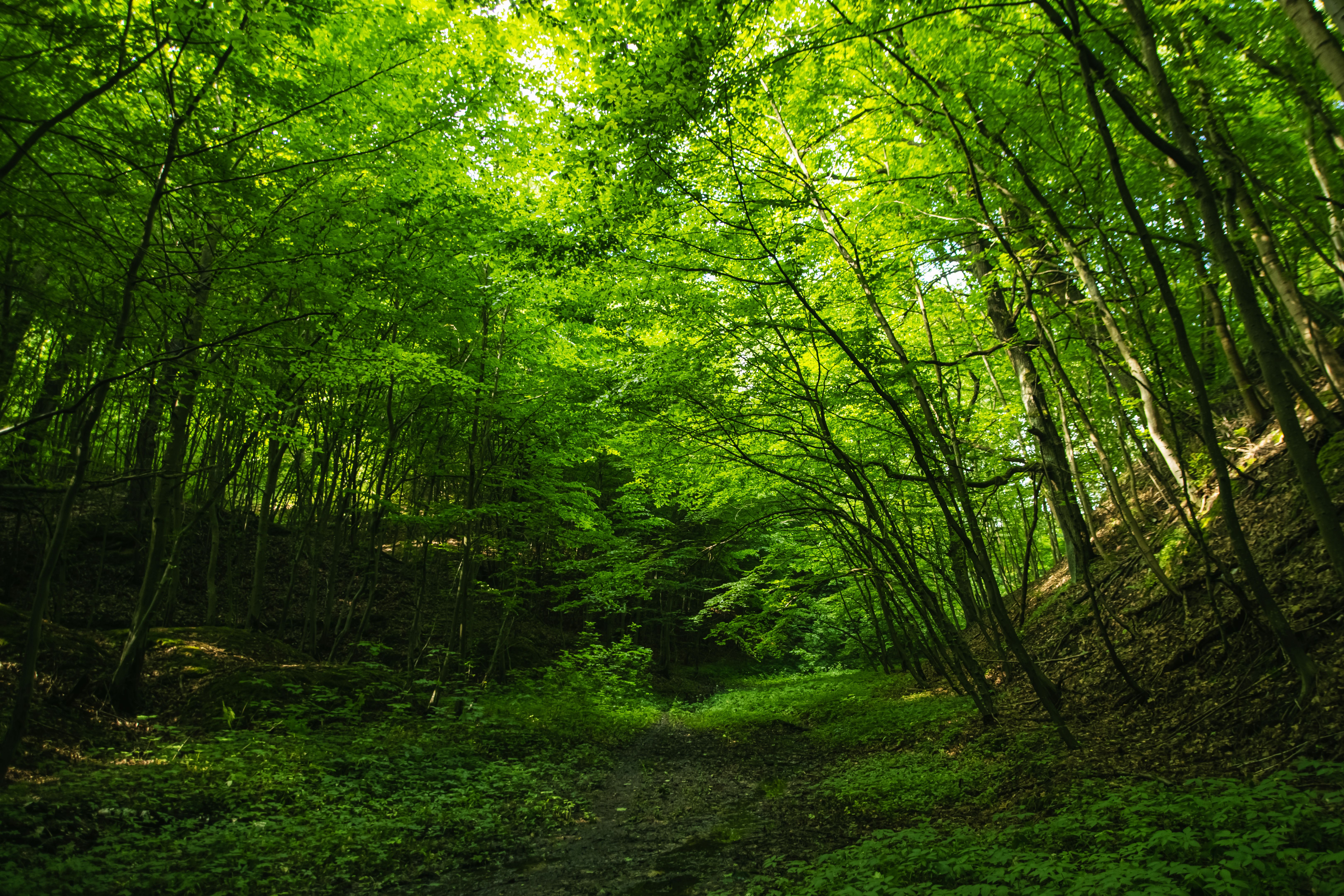 summer energy efficiency