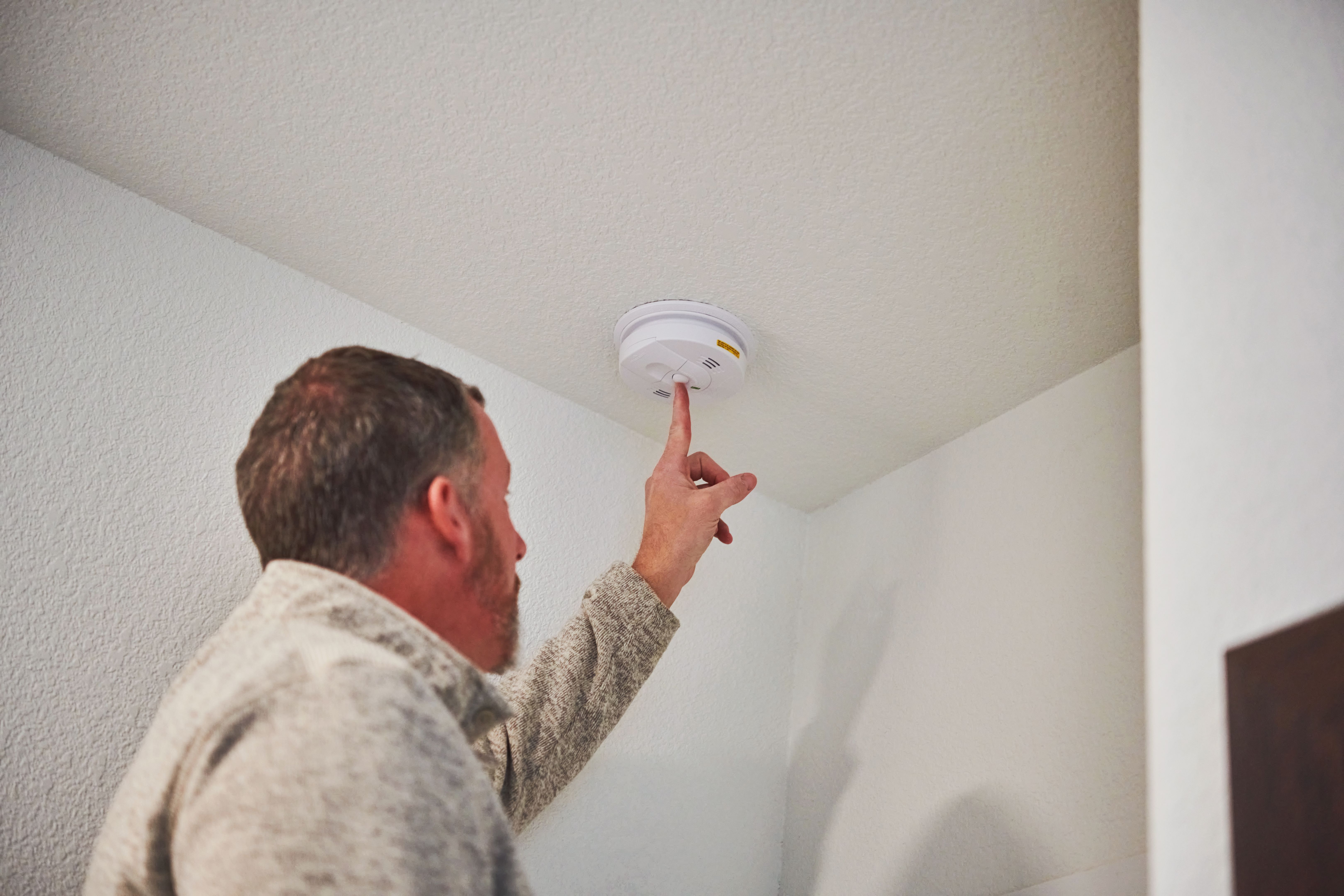 smoke detector check