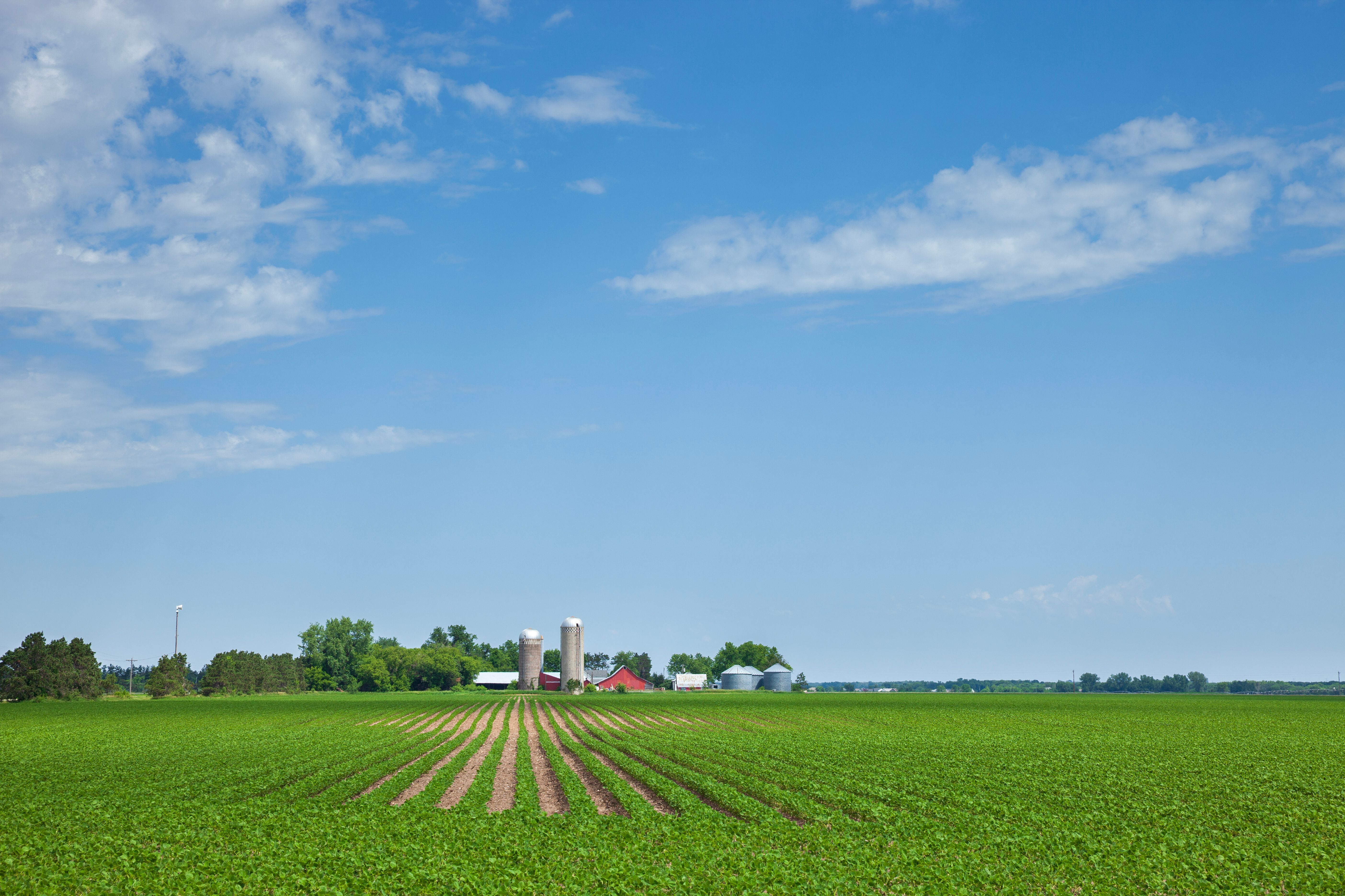 harvest season farm