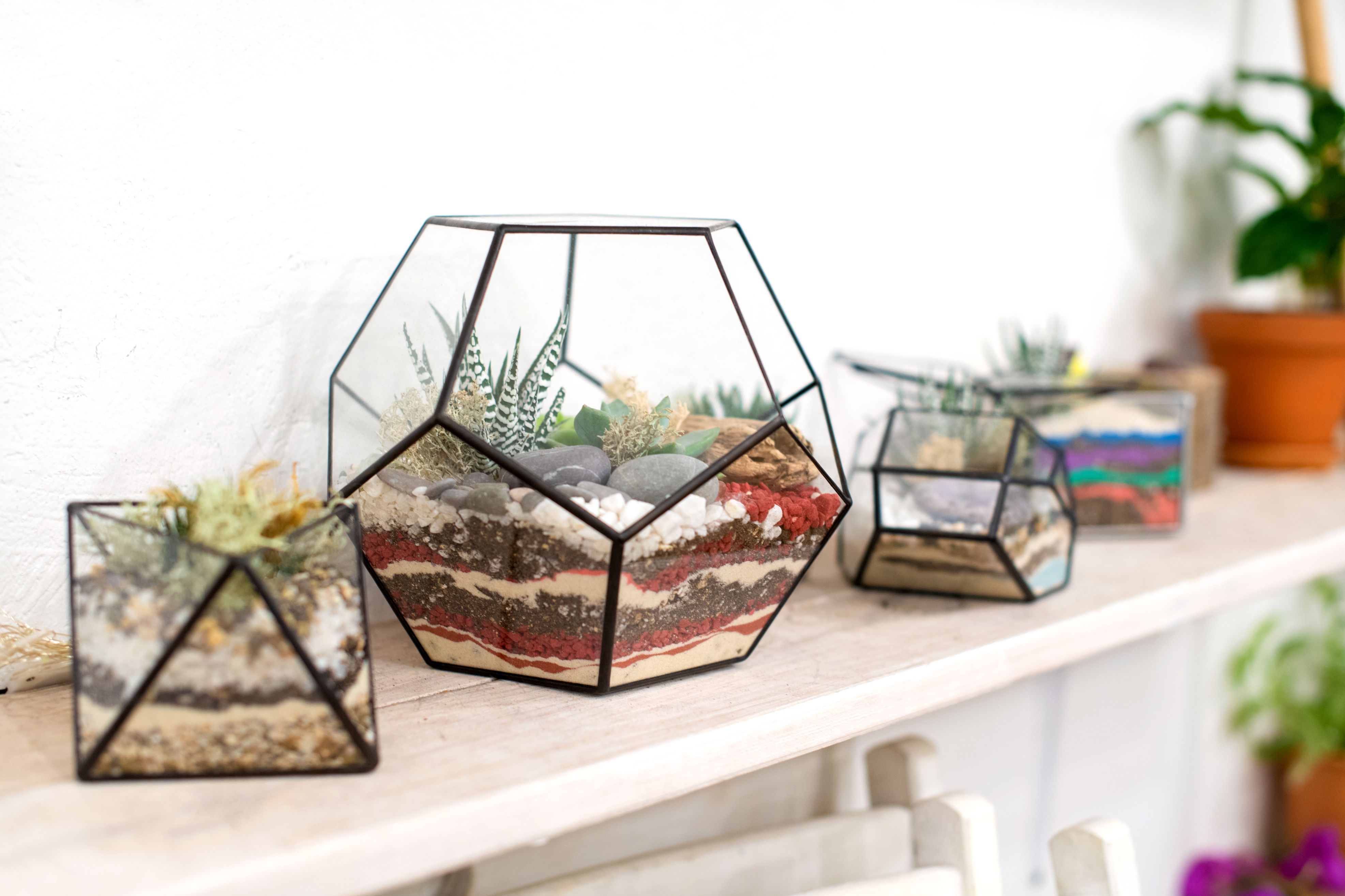 Glass florarium for green fresh mini succulent plants on a wooden background with multicolored sand inside. The concept of home gardening. Cozy decor for a home with a home jungle.