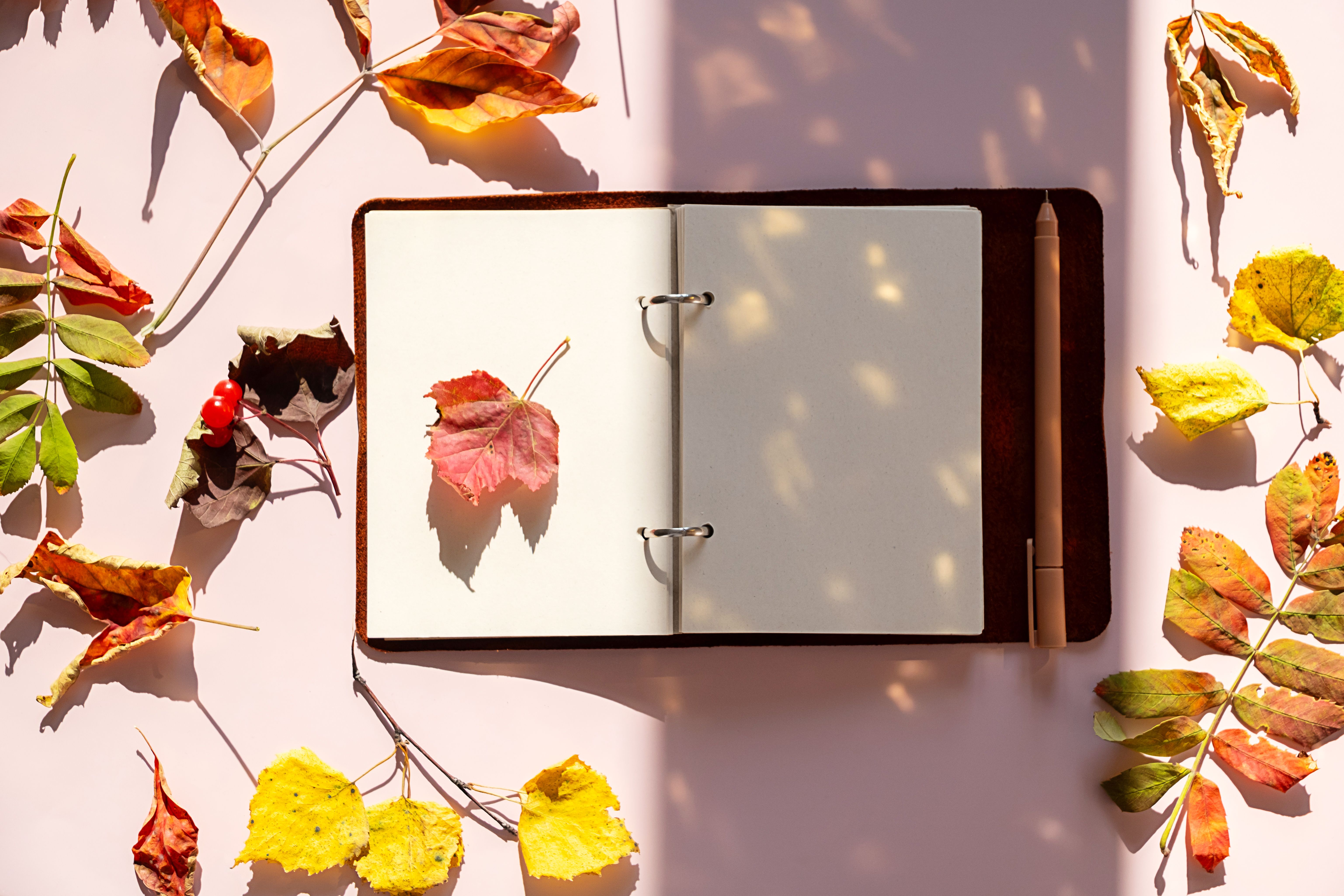 autumn leaves office