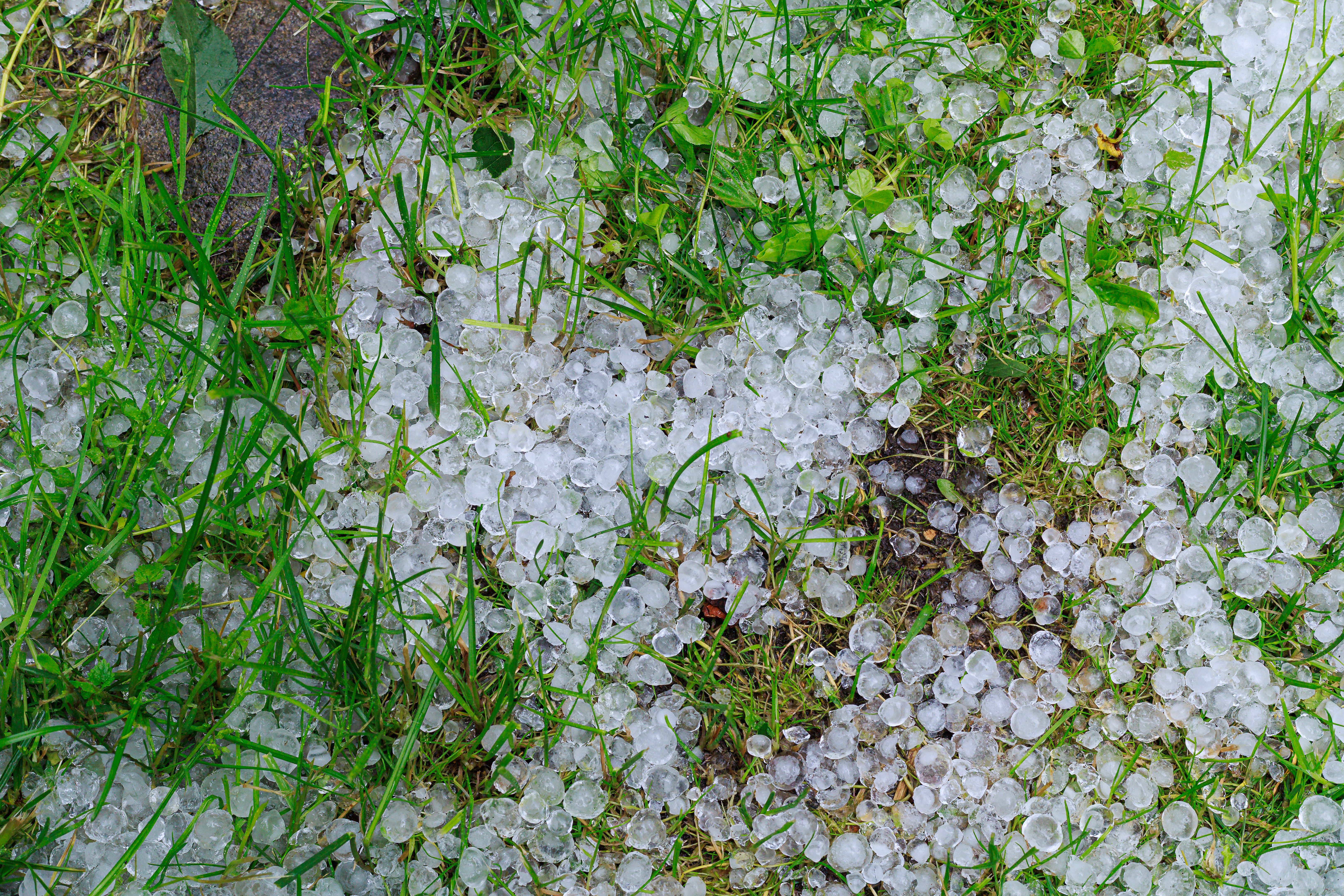 hailstorm damage