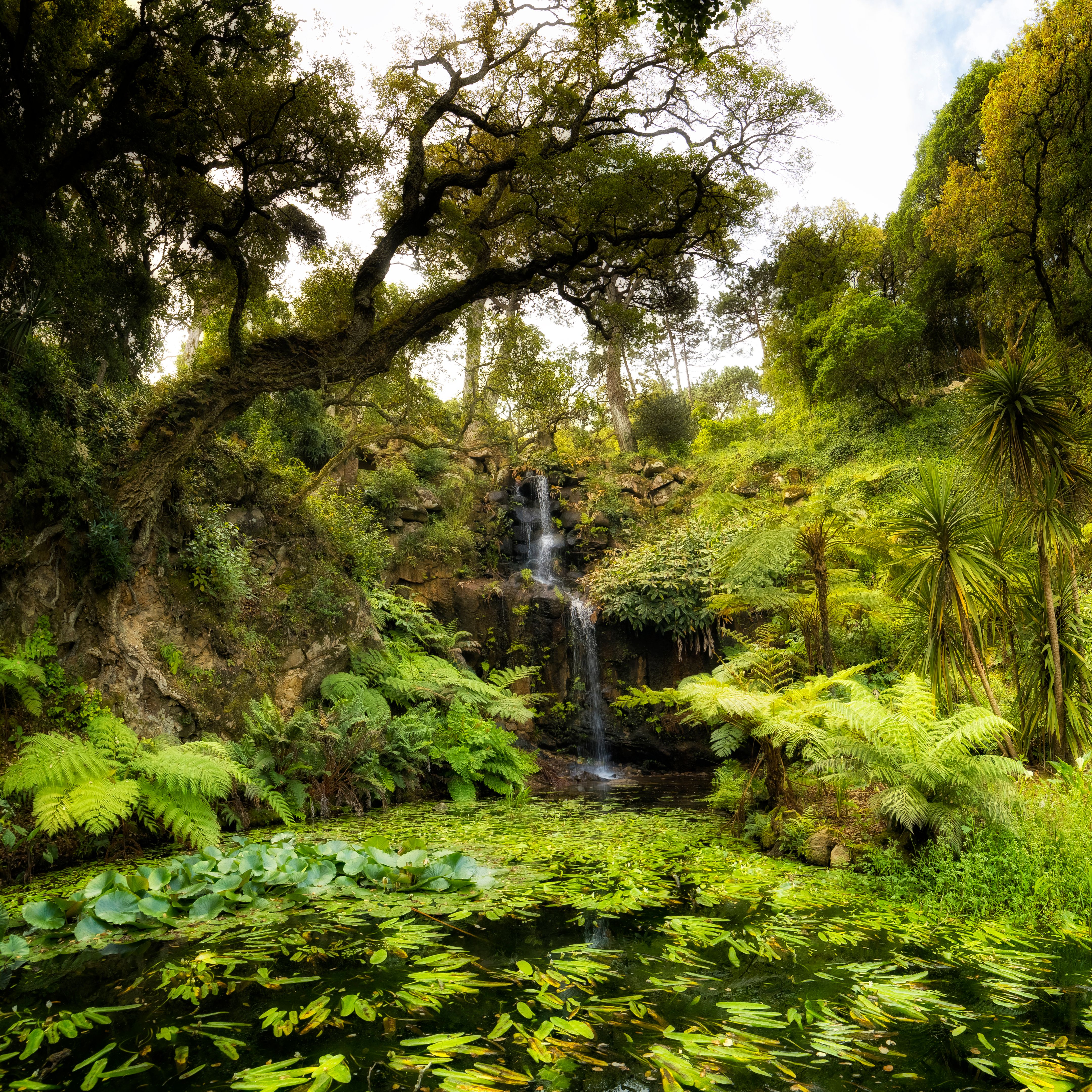sintra garden