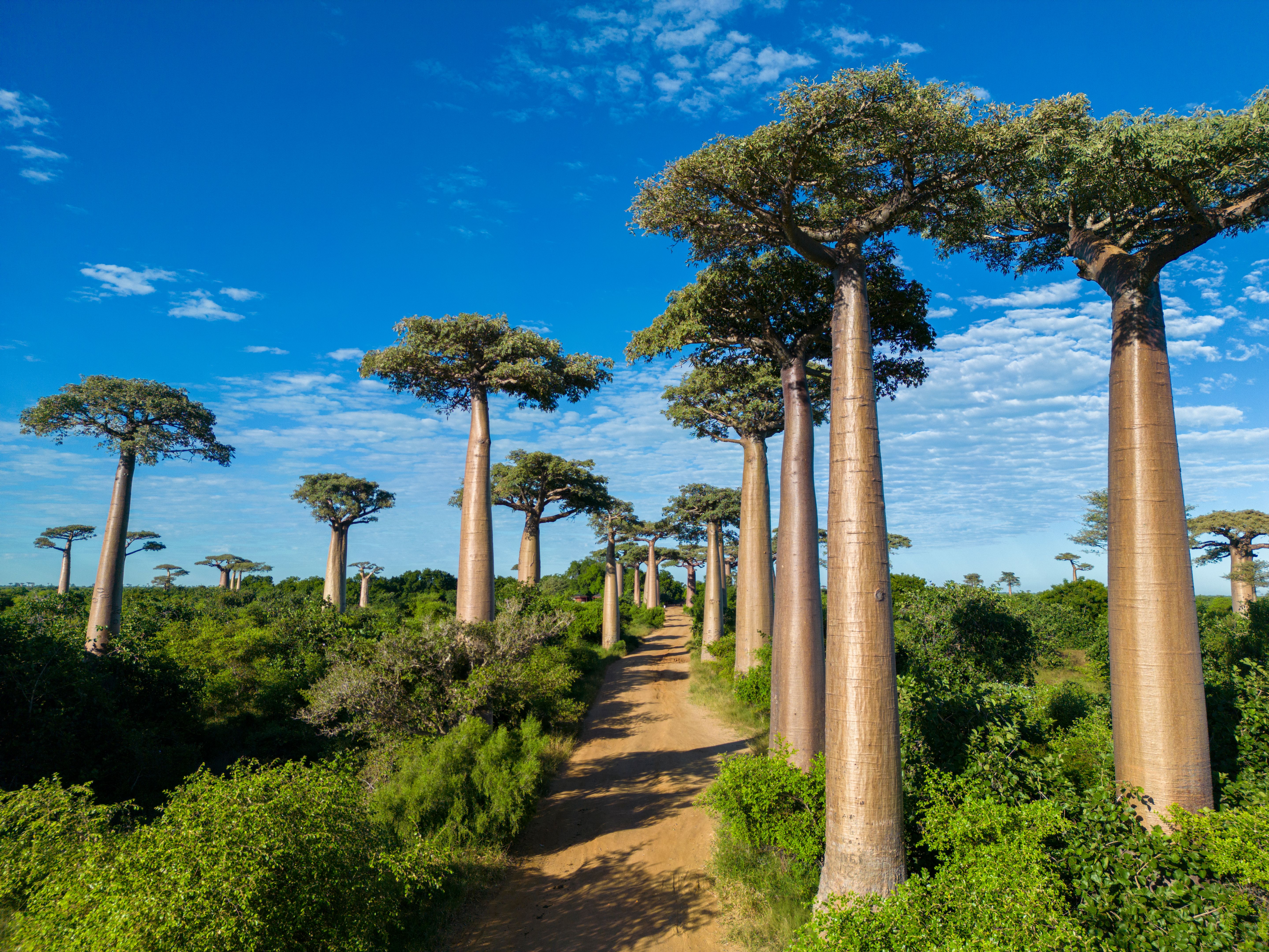 eco friendly travel madagascar