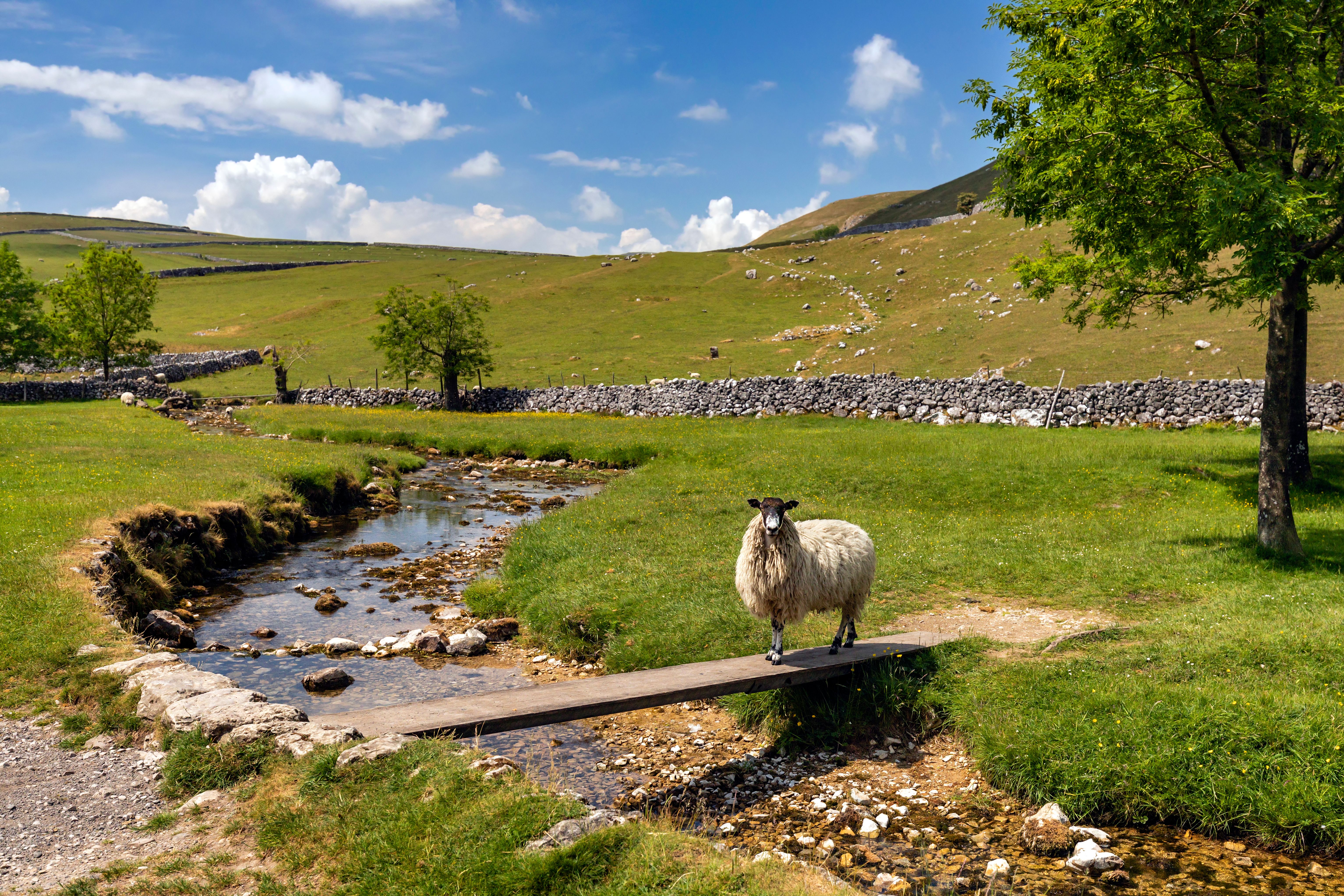 Yorkshire Dales
