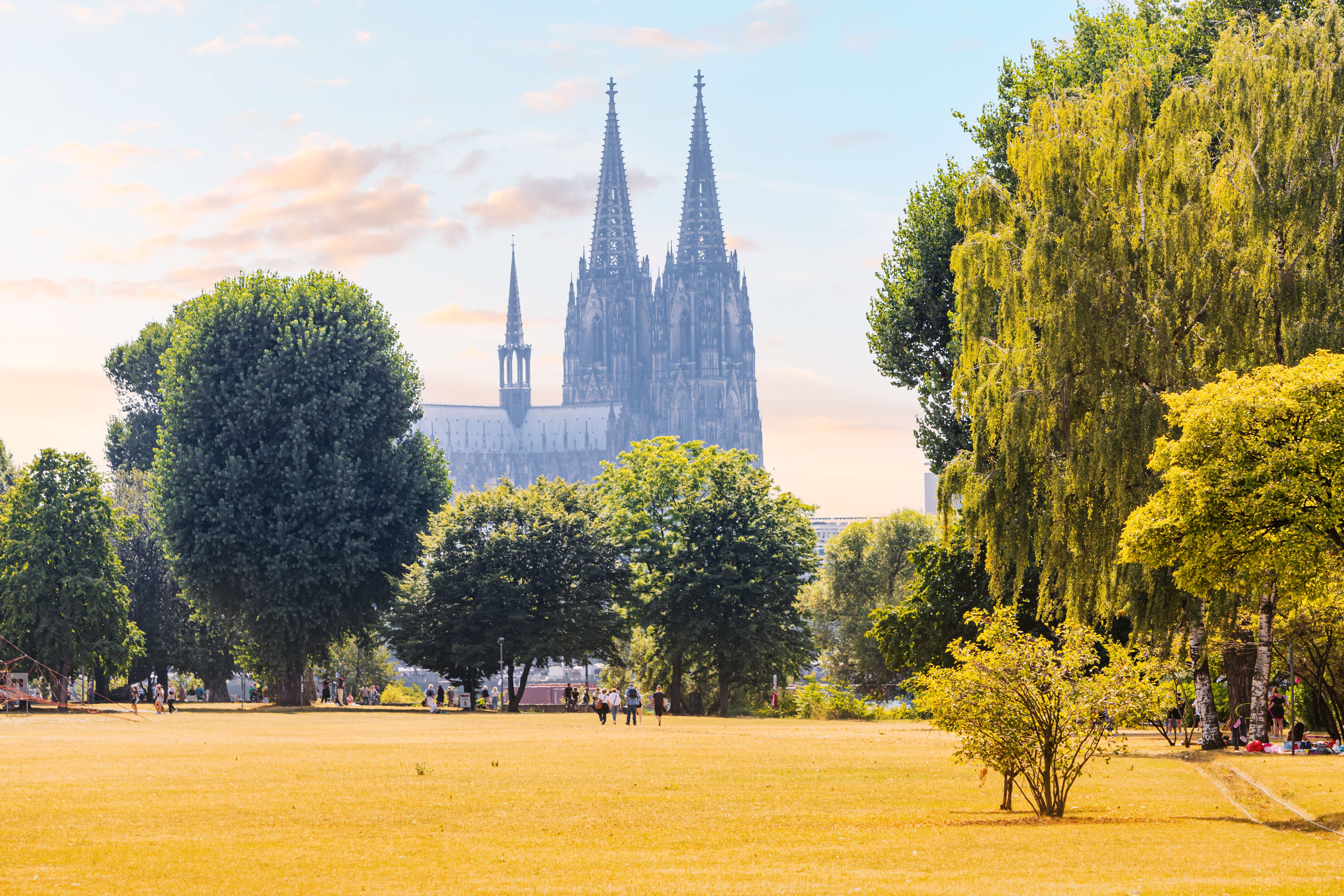 autumn Cologne