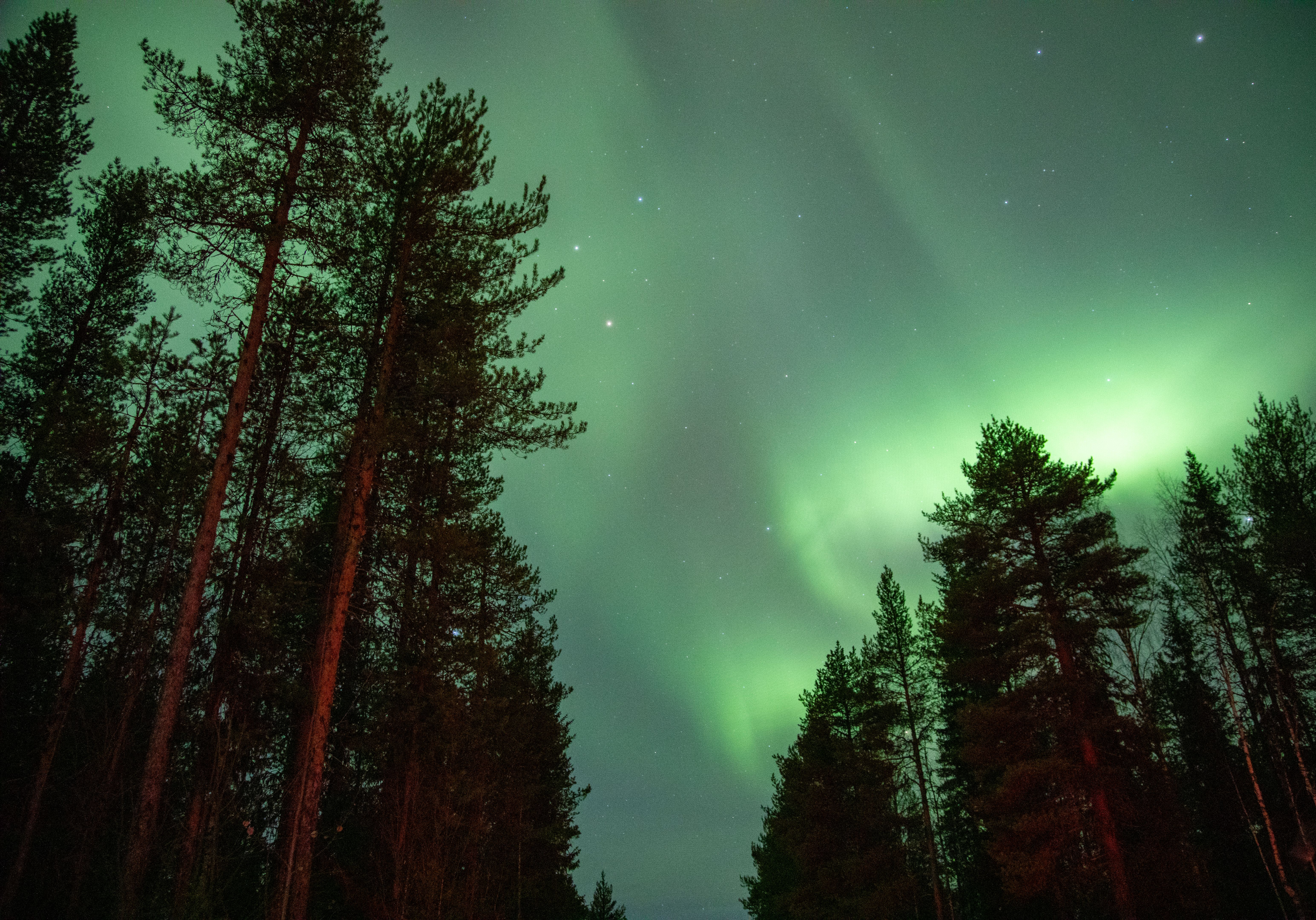 winter sports Finland