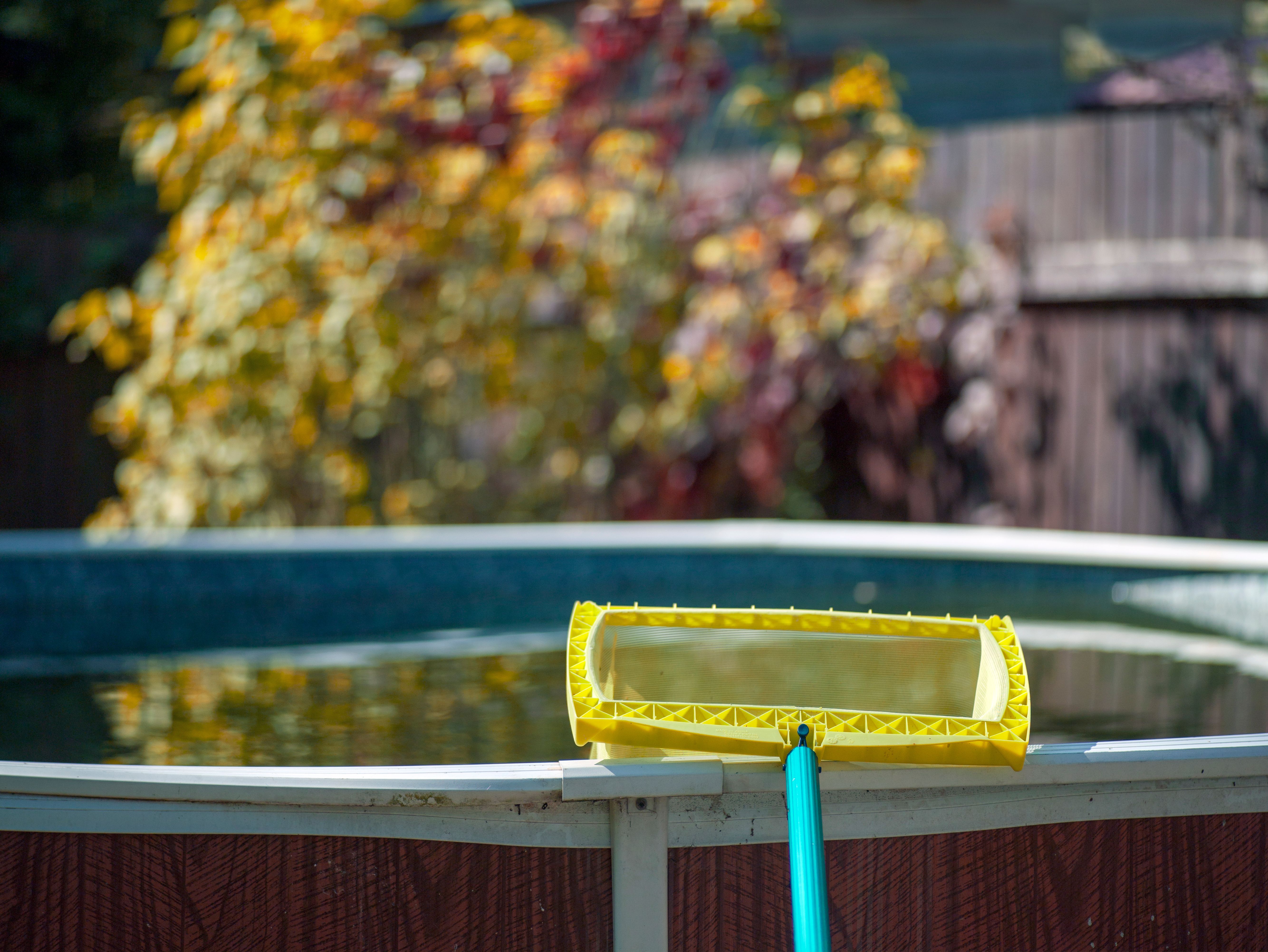 pool cleaning tools