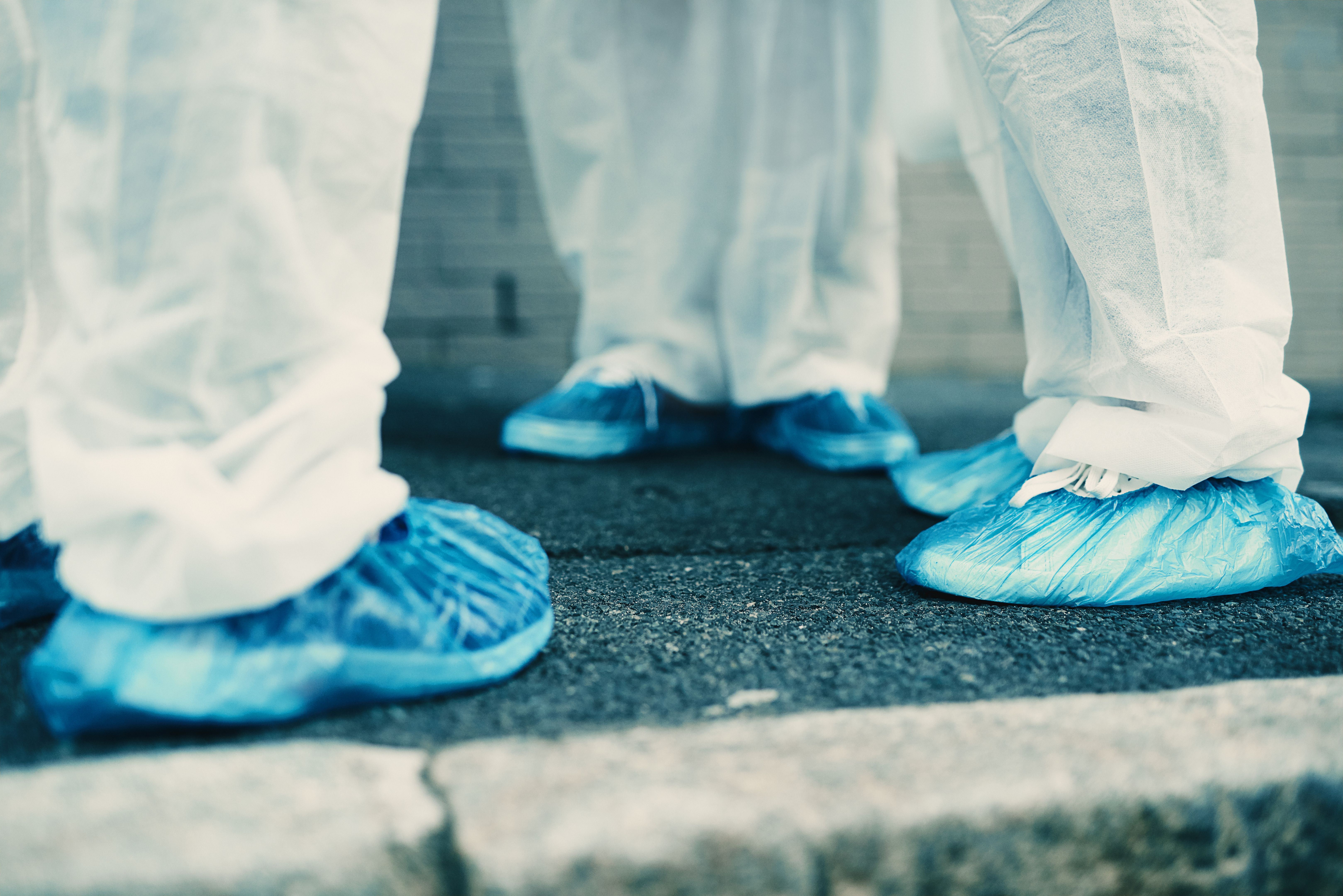 ultrasonic pest control