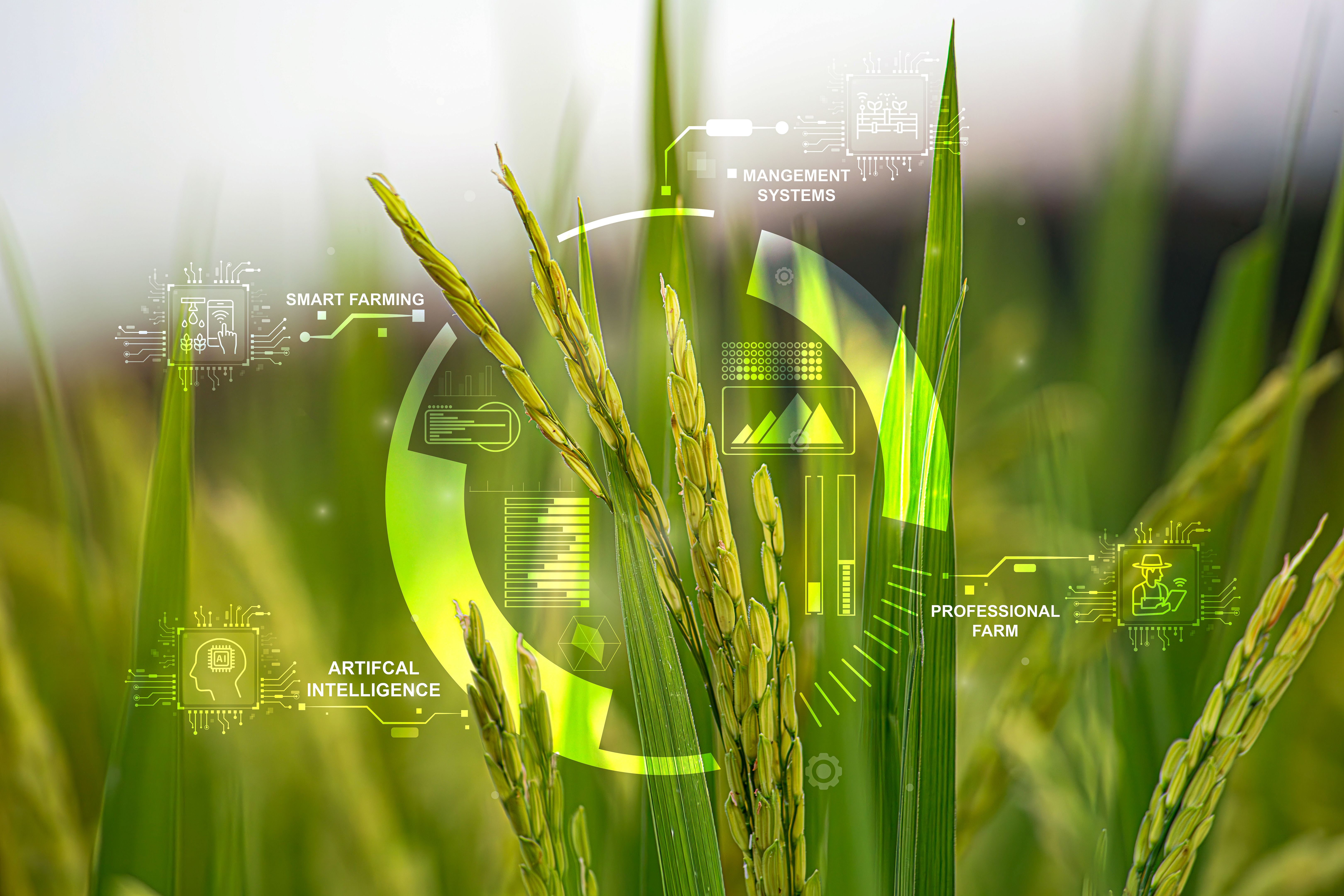 precision agriculture