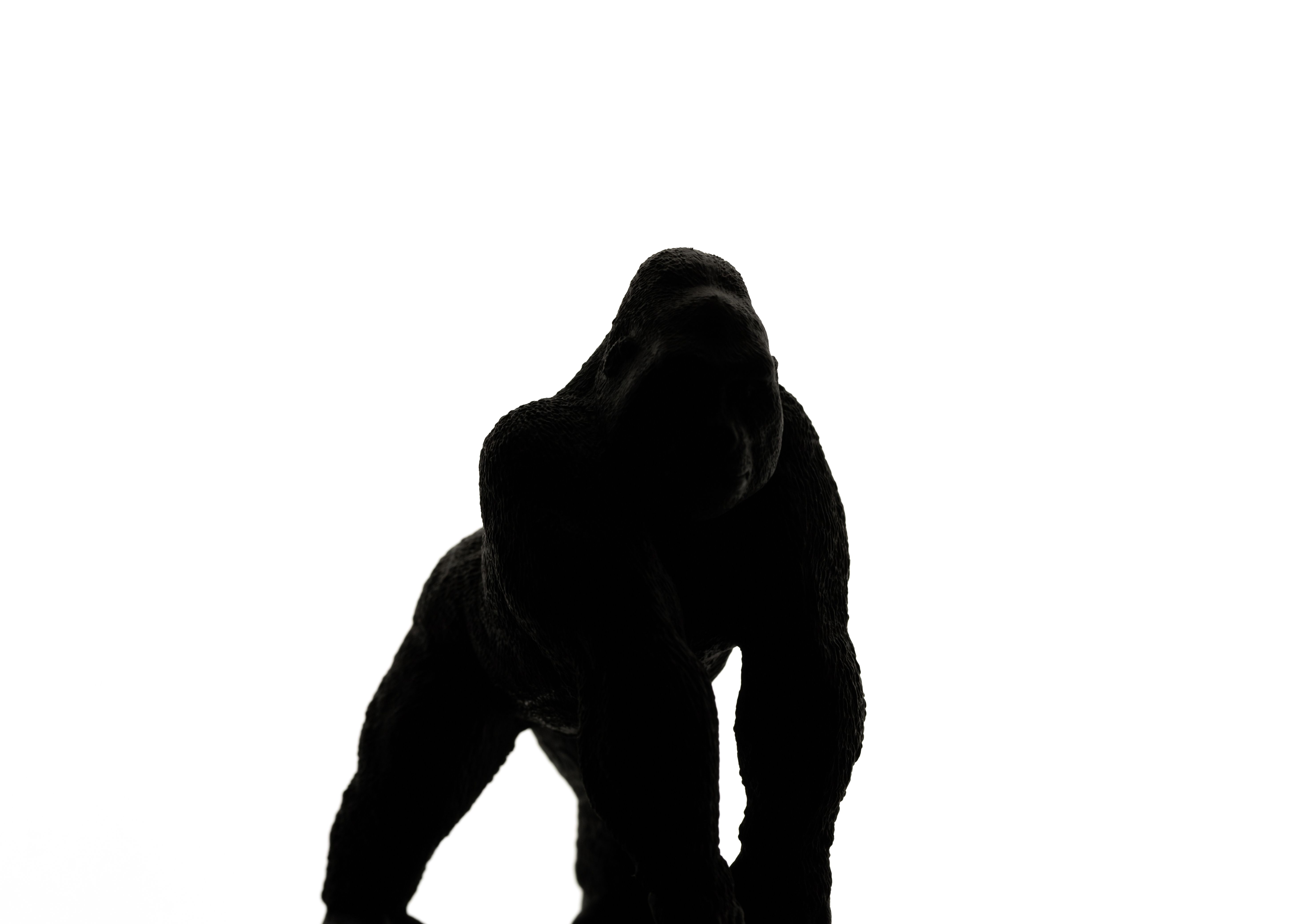 wildlife interaction