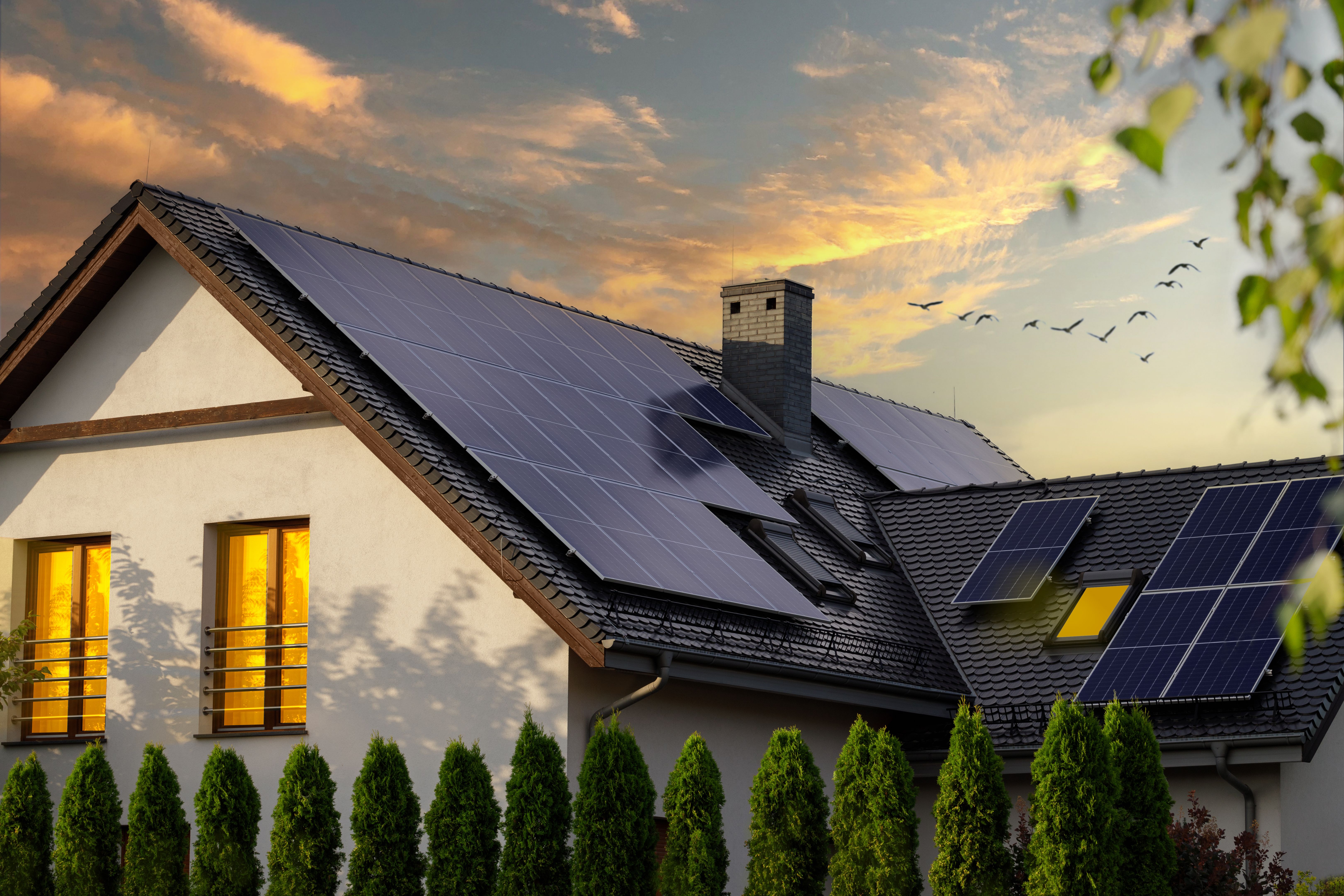 modern sustainable home