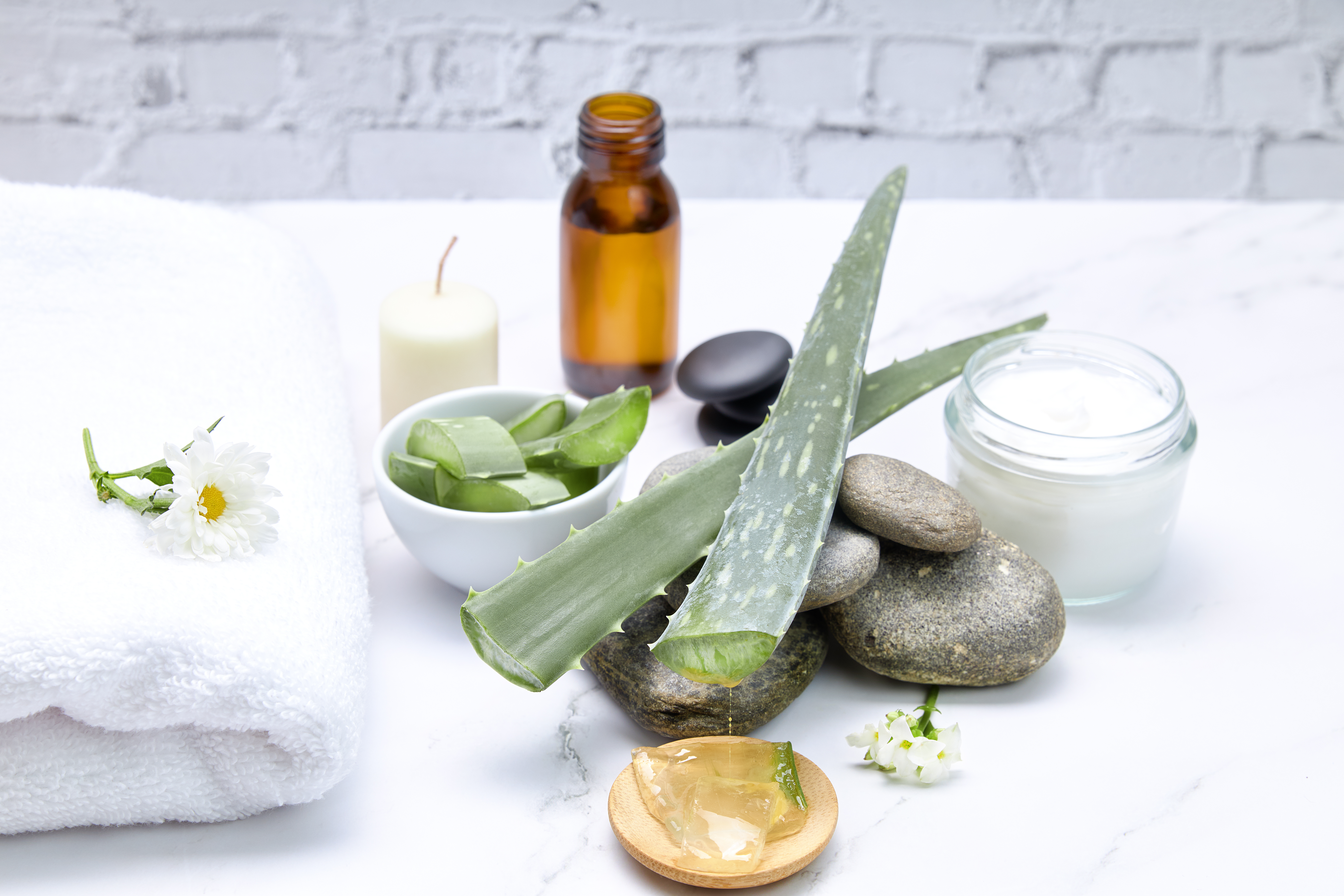 Aloe Vera extract for spa skin treatment