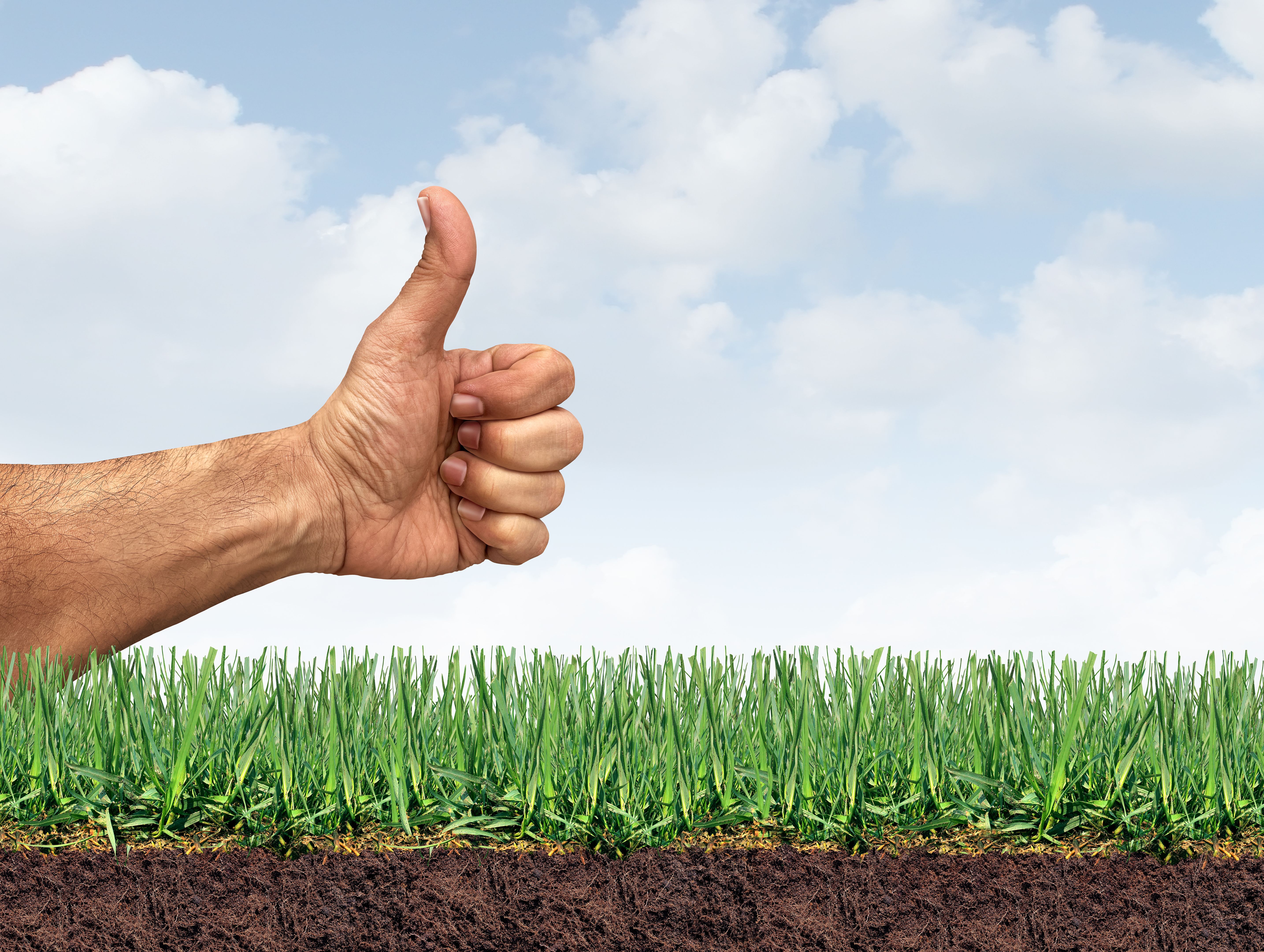 aeration overseeding