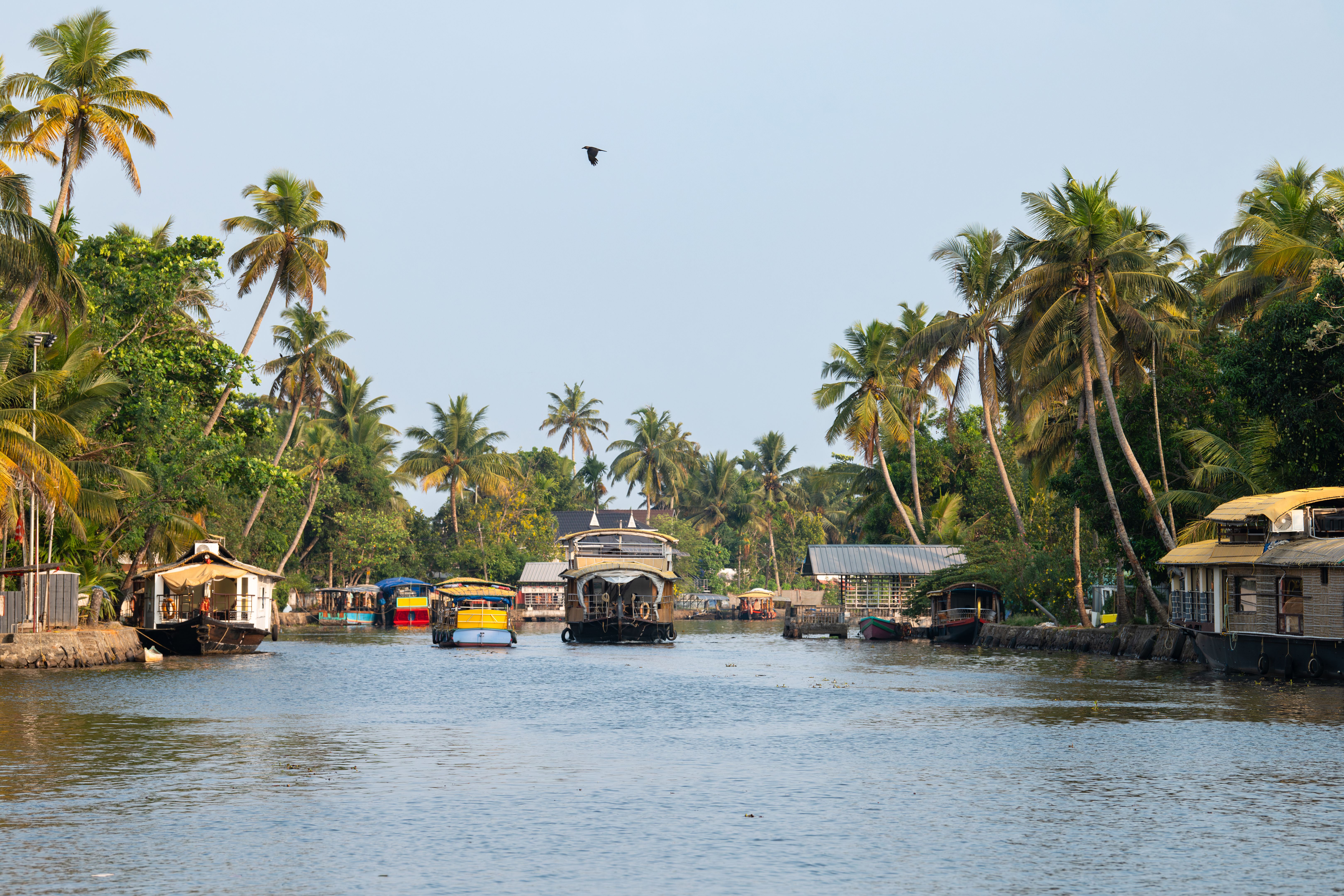kerala backwaters