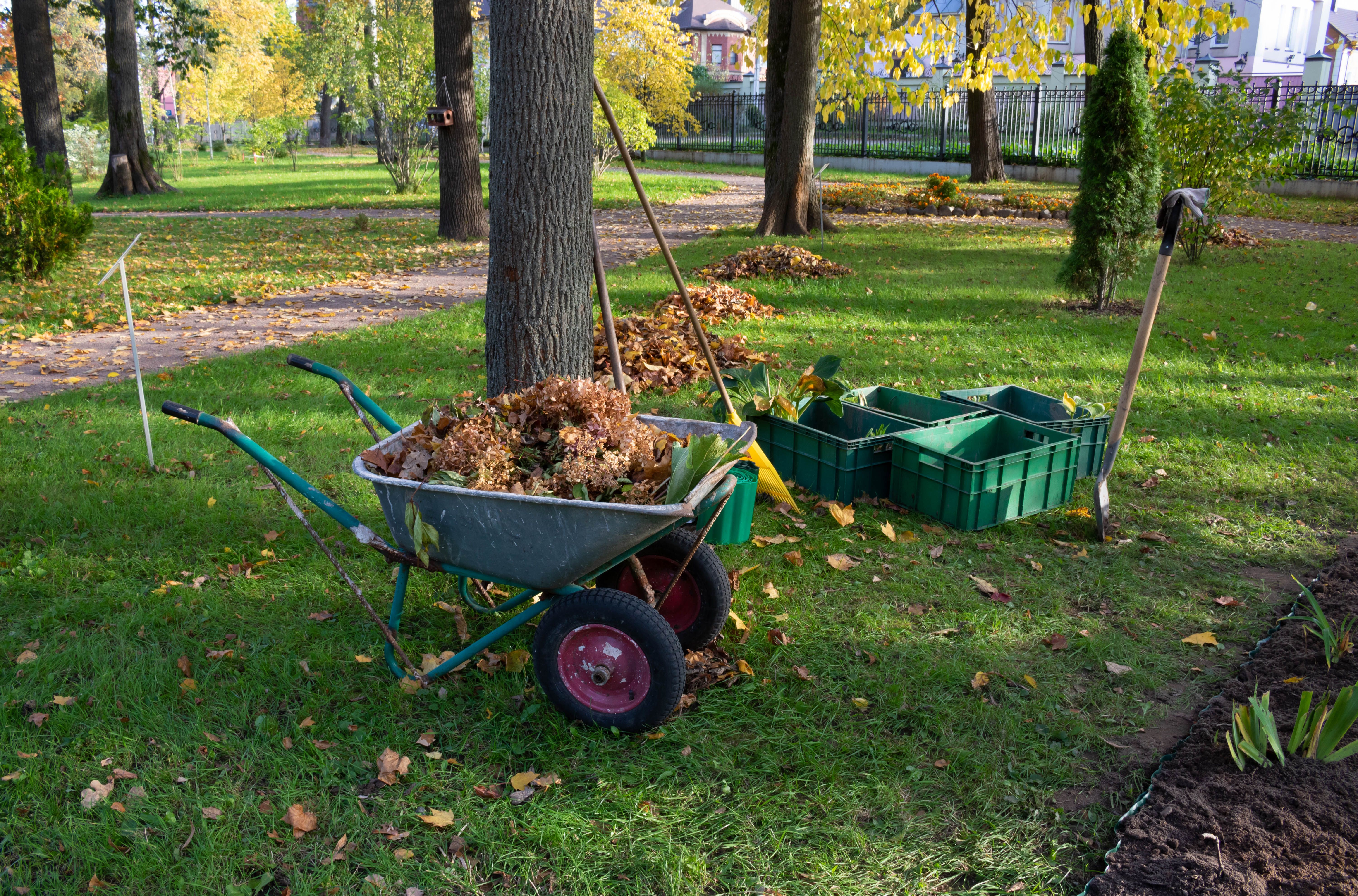 seasonal cleaning