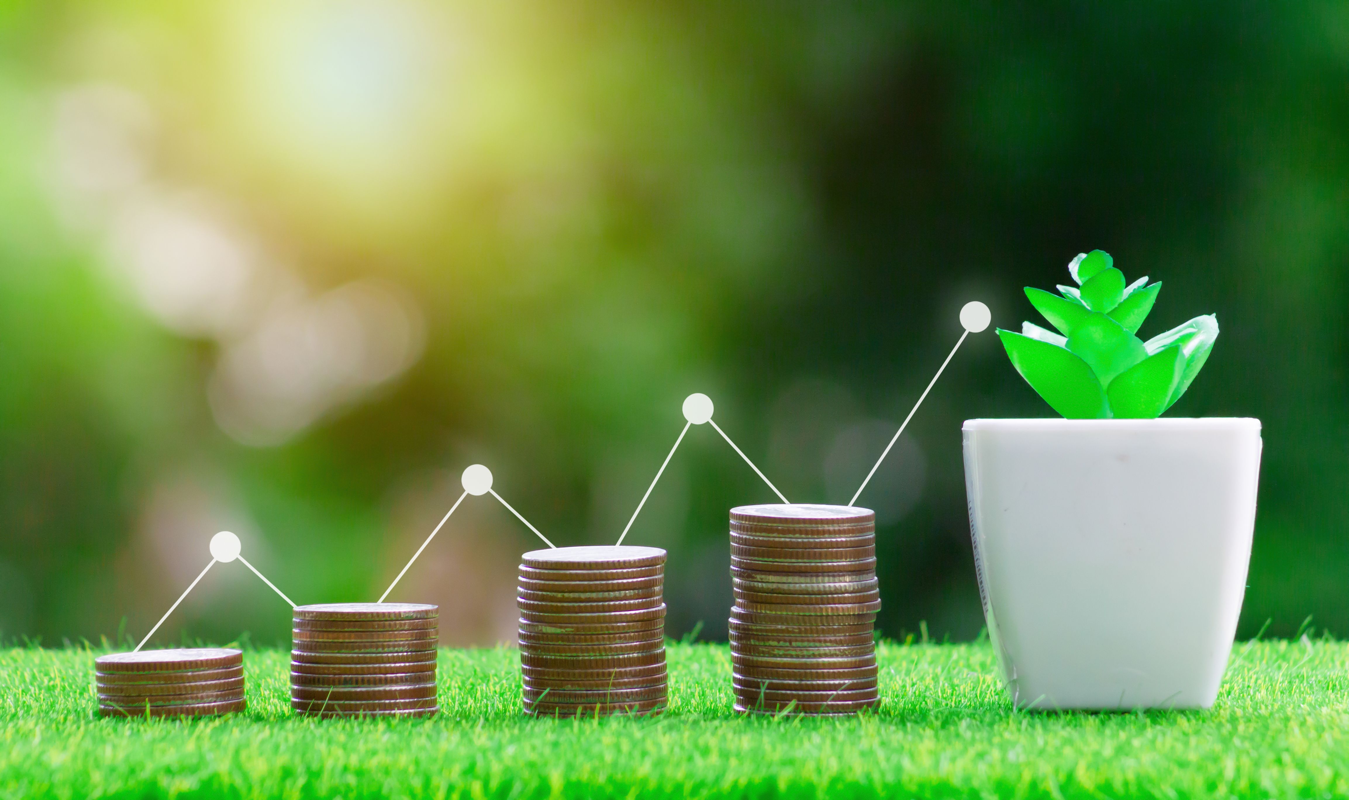 time saving gardening