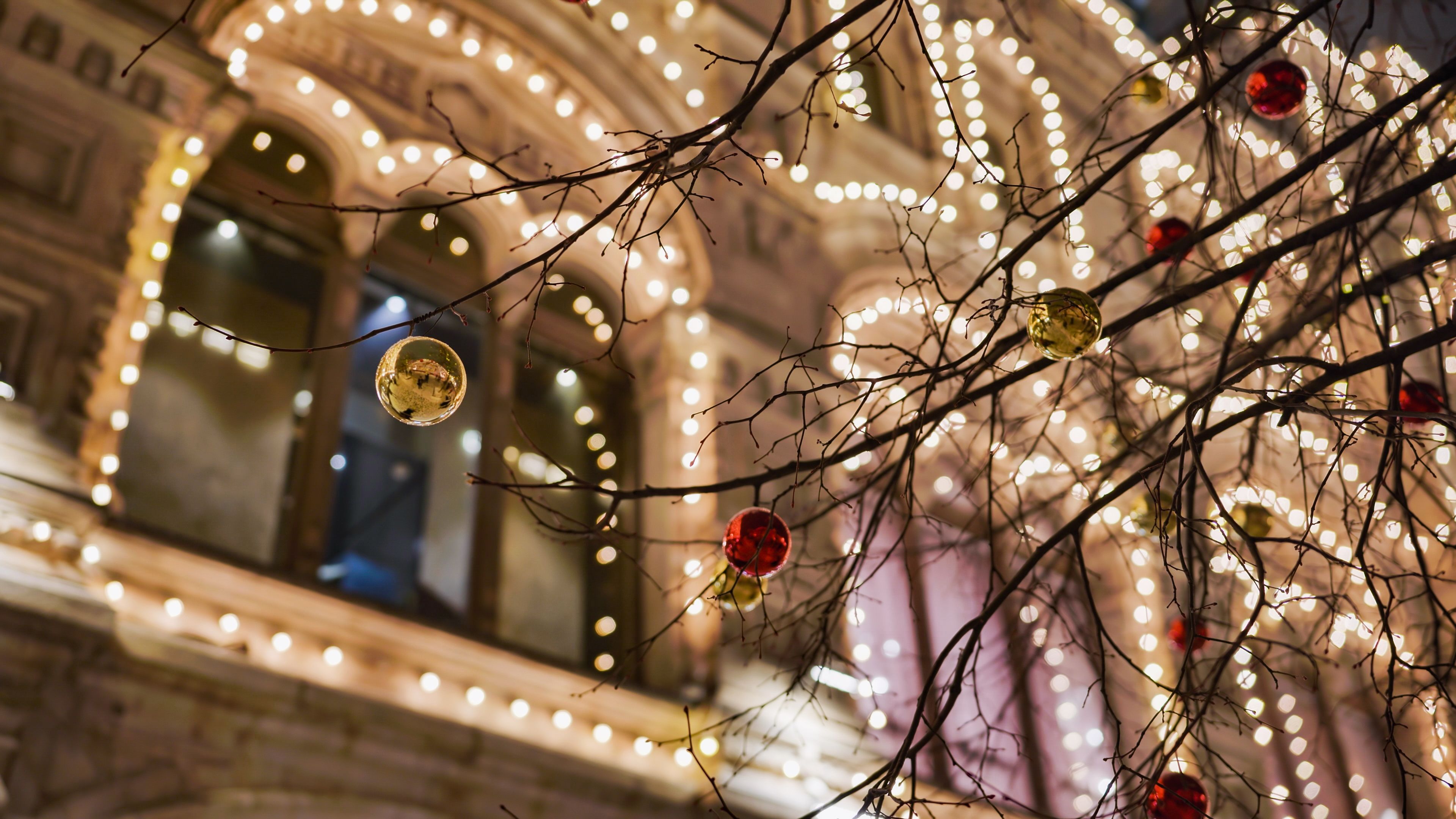 holiday lighting installation