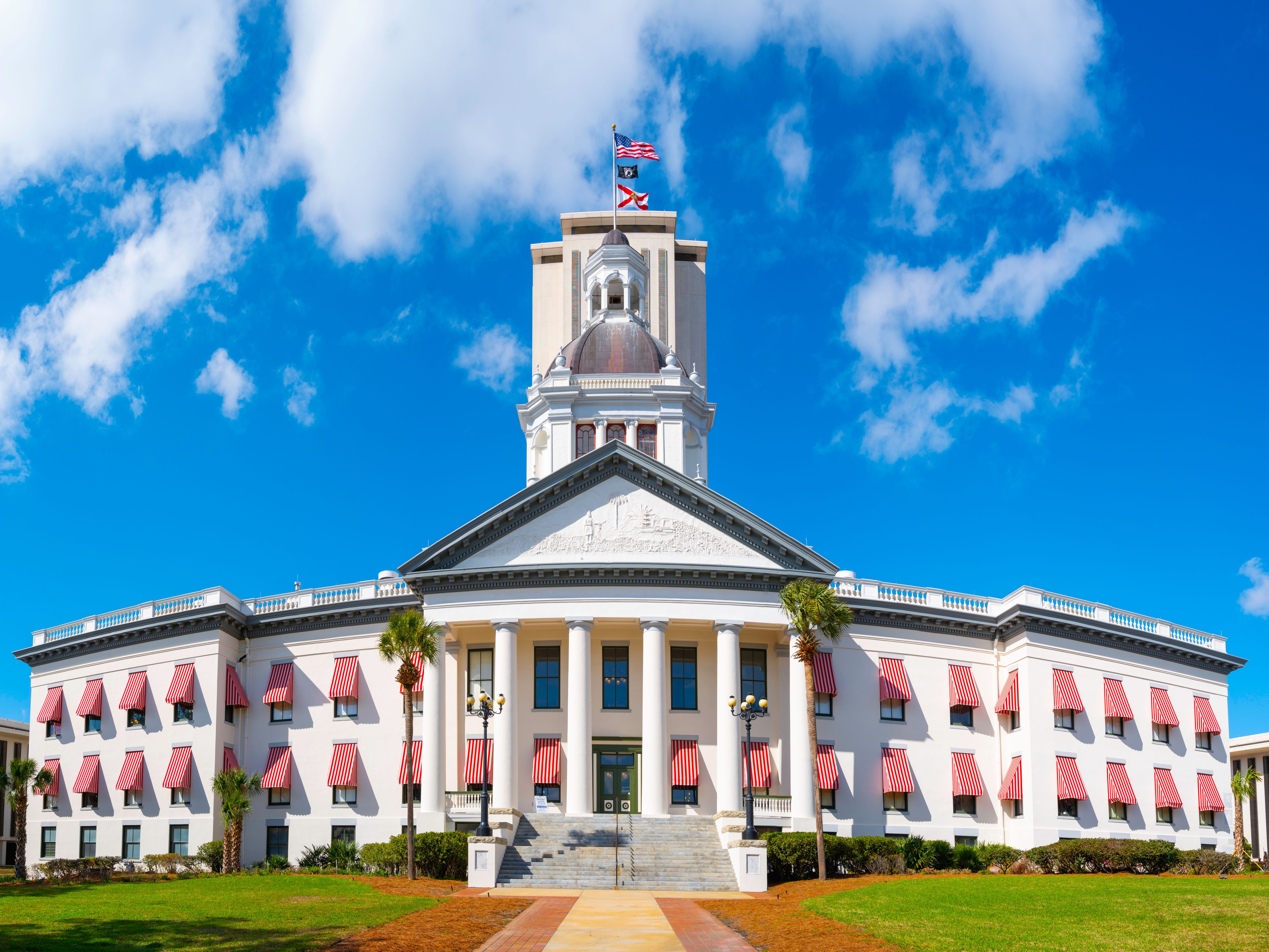 state legislature