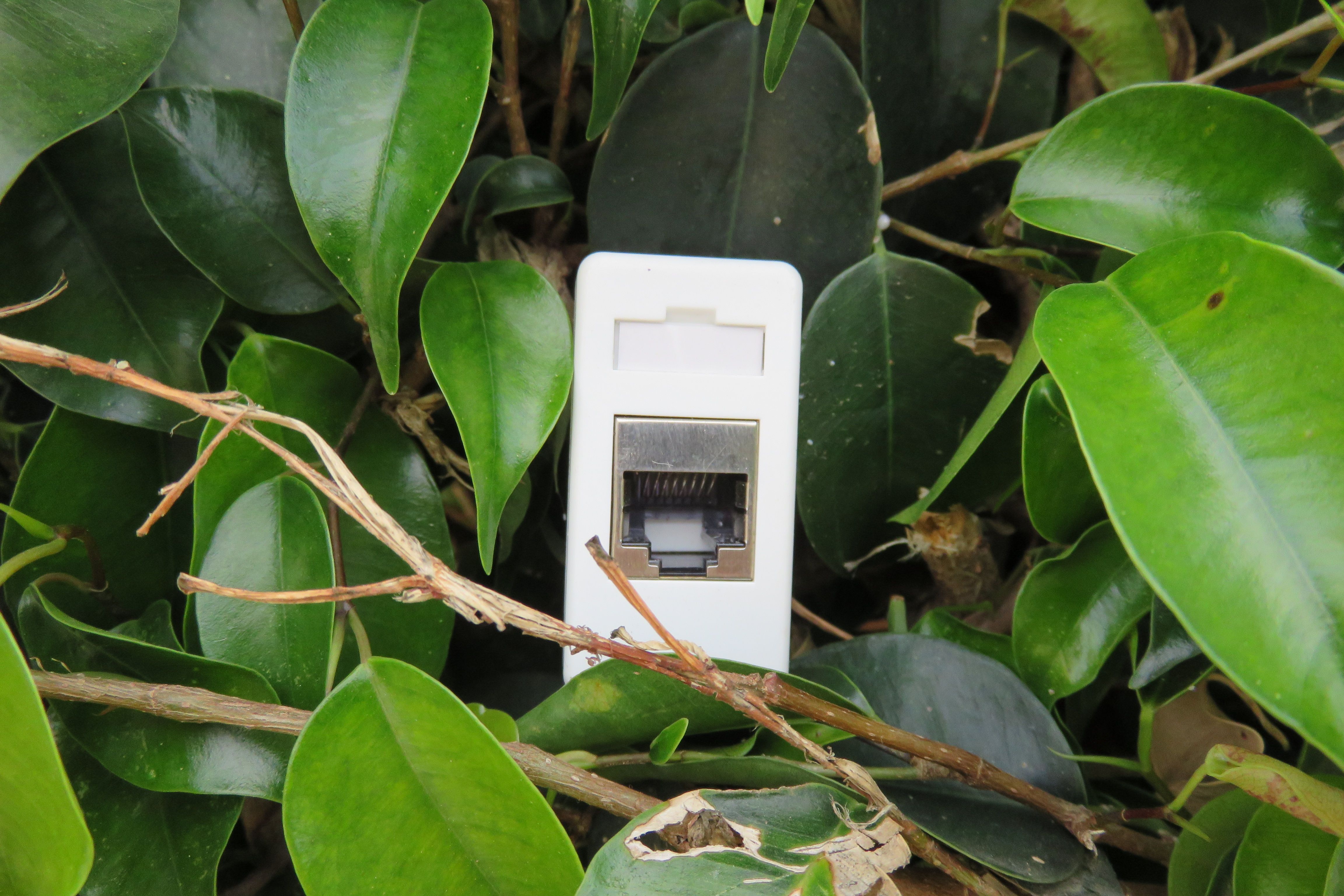 electronic bird deterrent