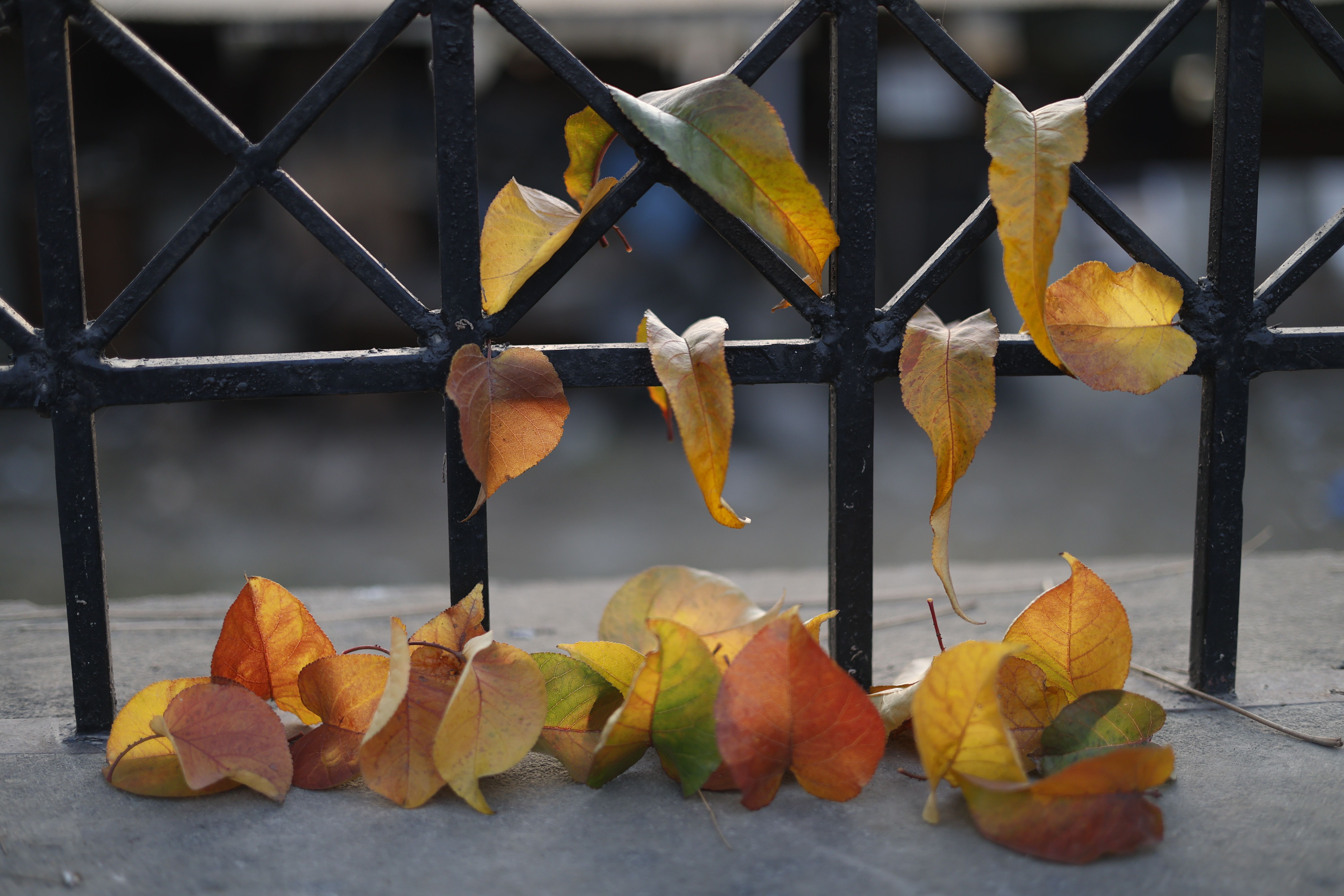 mixed material fence