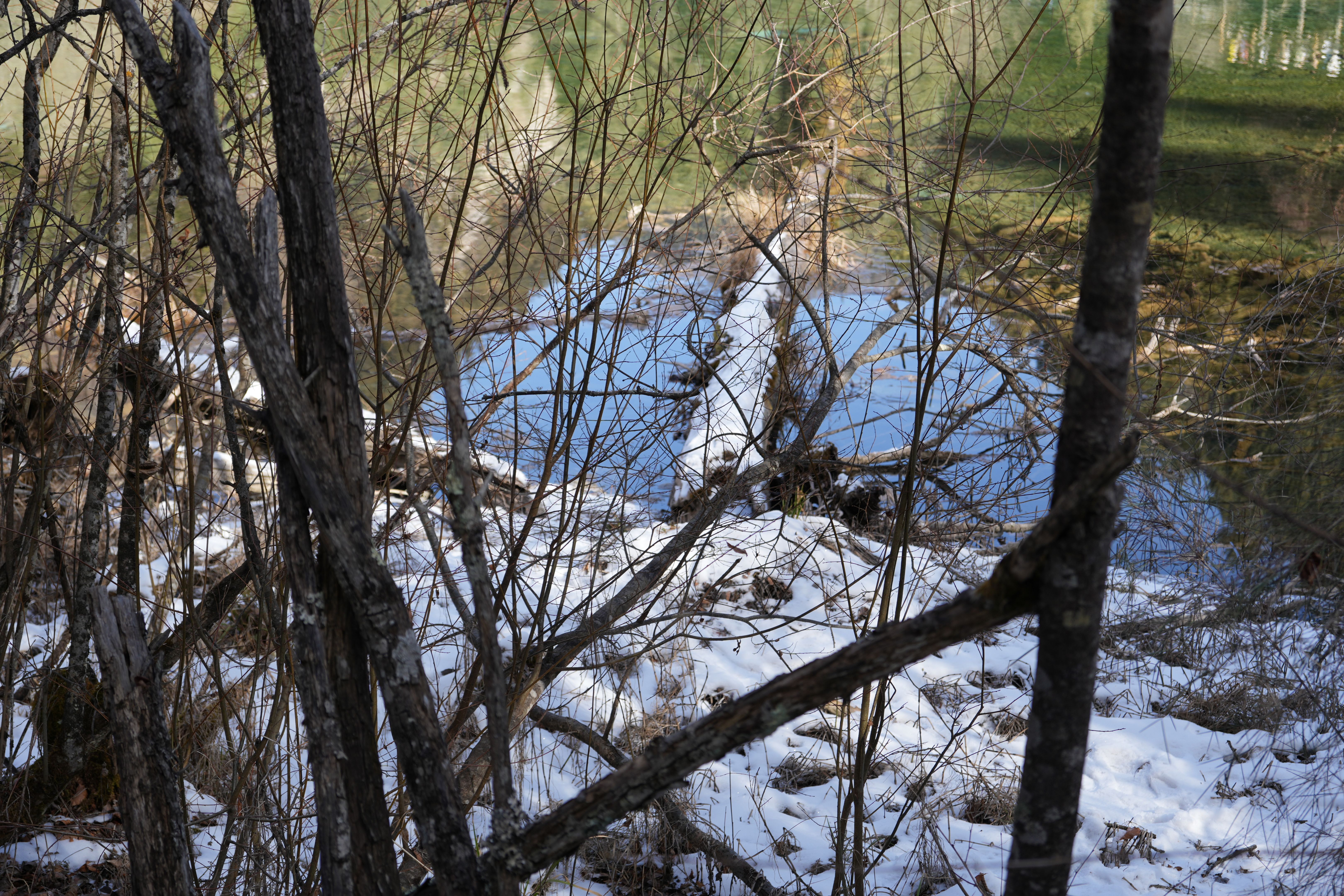 clear creek county holiday