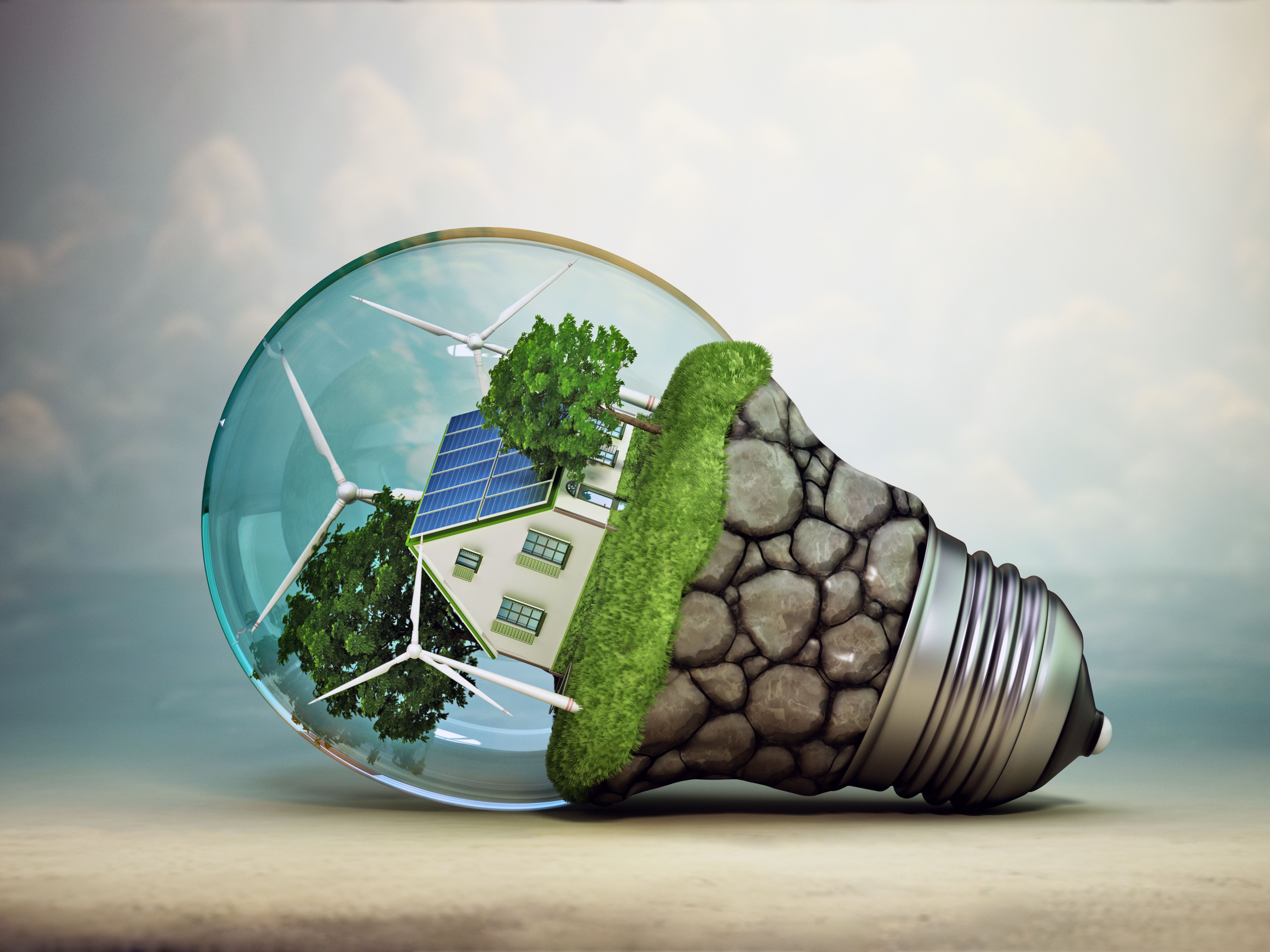 energy efficient bulbs