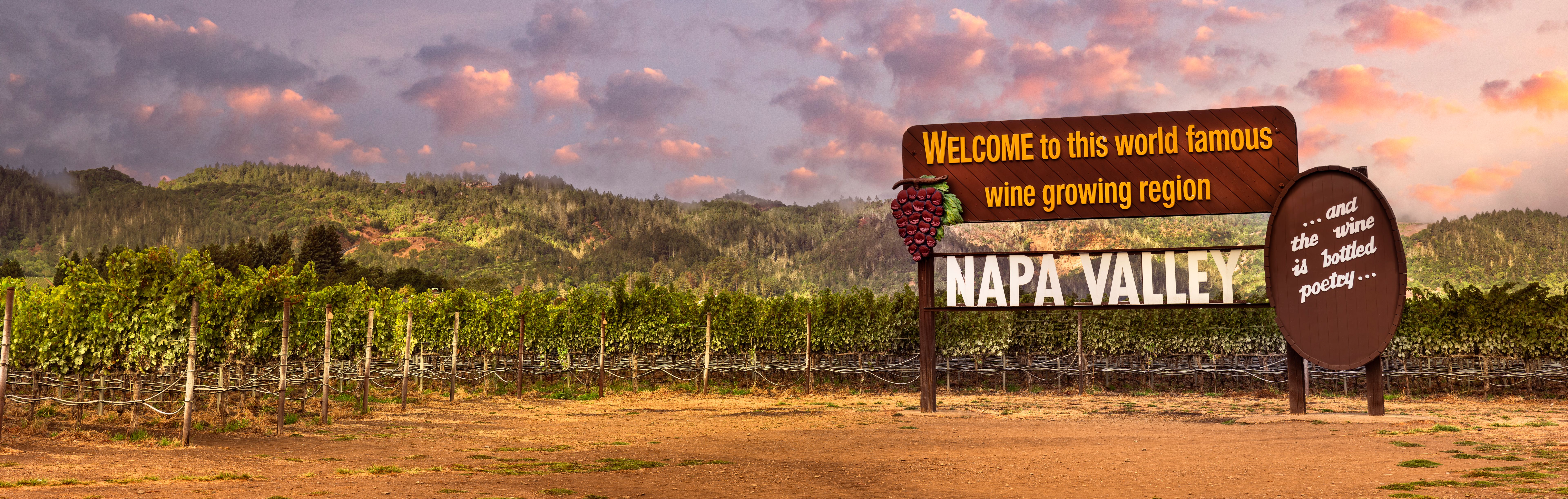 napa outdoor event