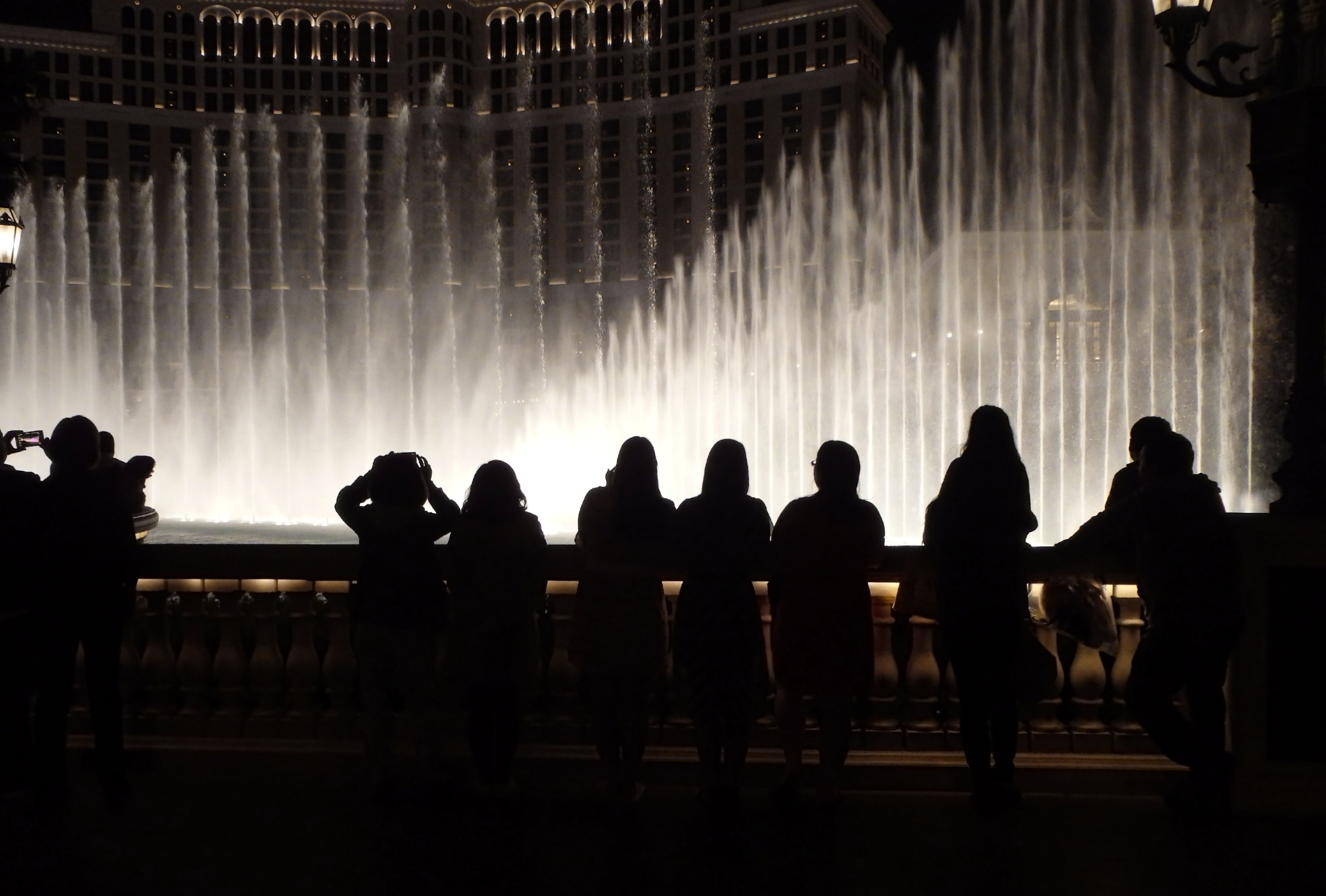 Several people silhouette against fountain at night.