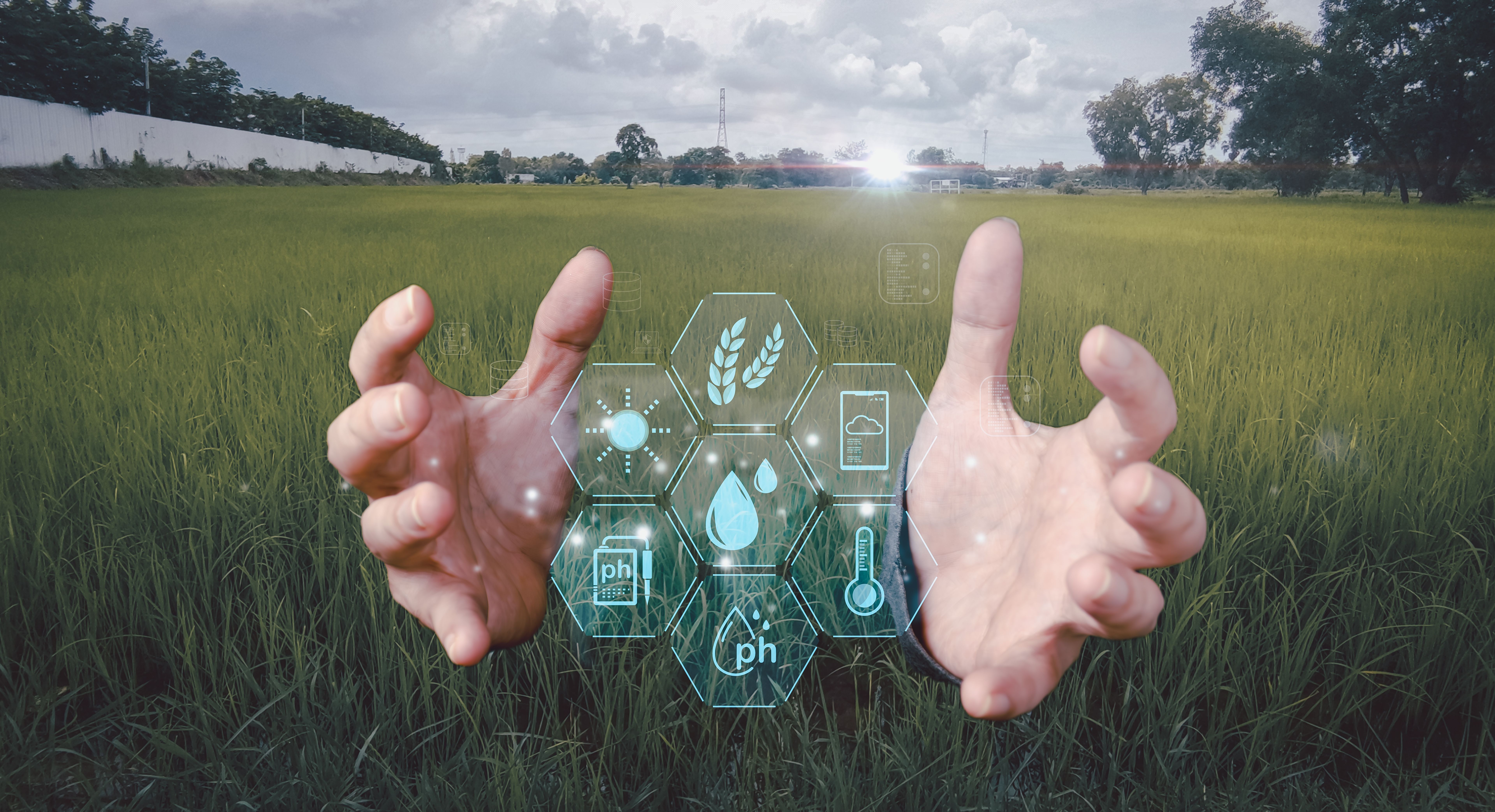 The new generation of farmers use AI technology to assist in agriculture.