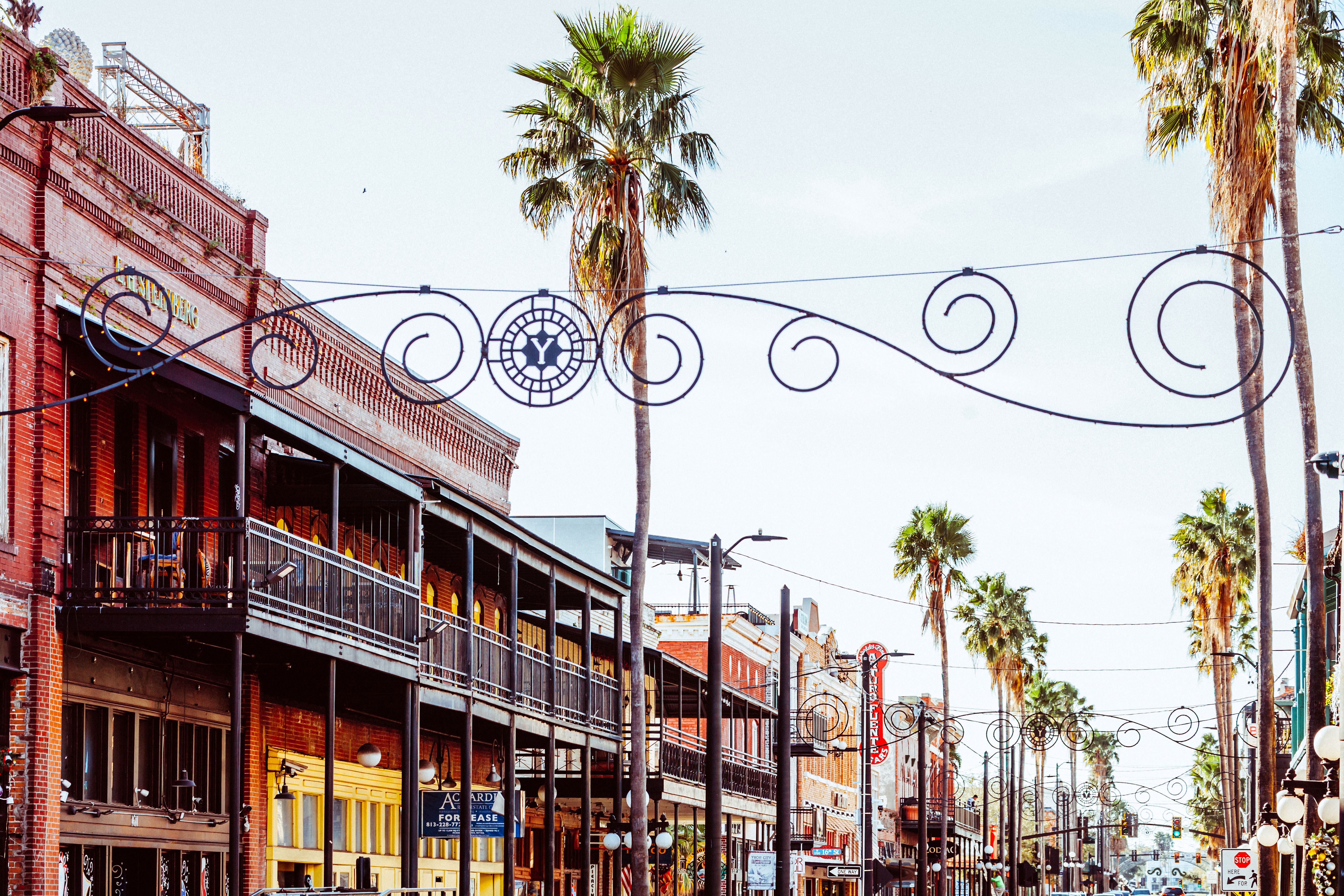 tampa street