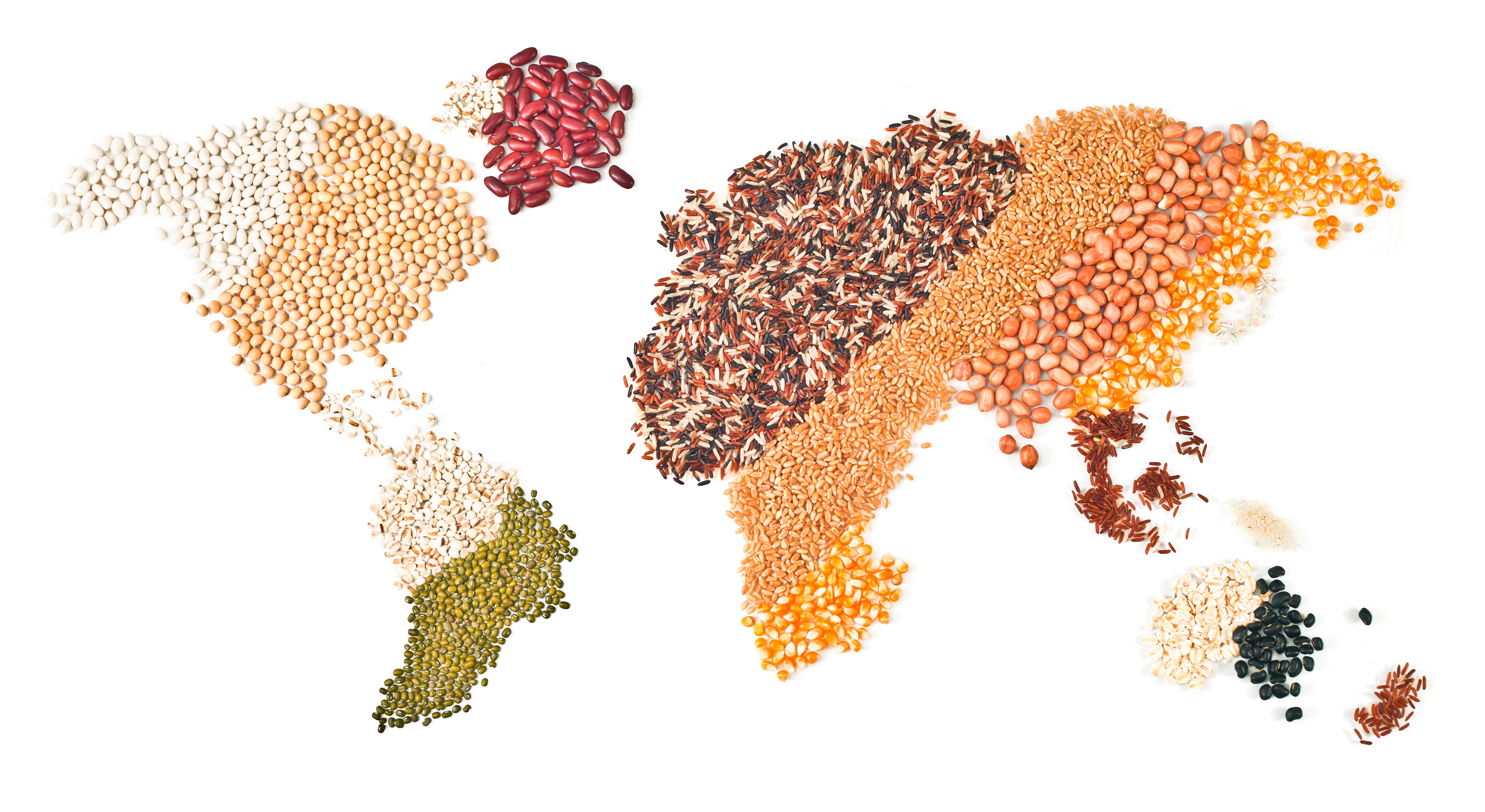global agriculture