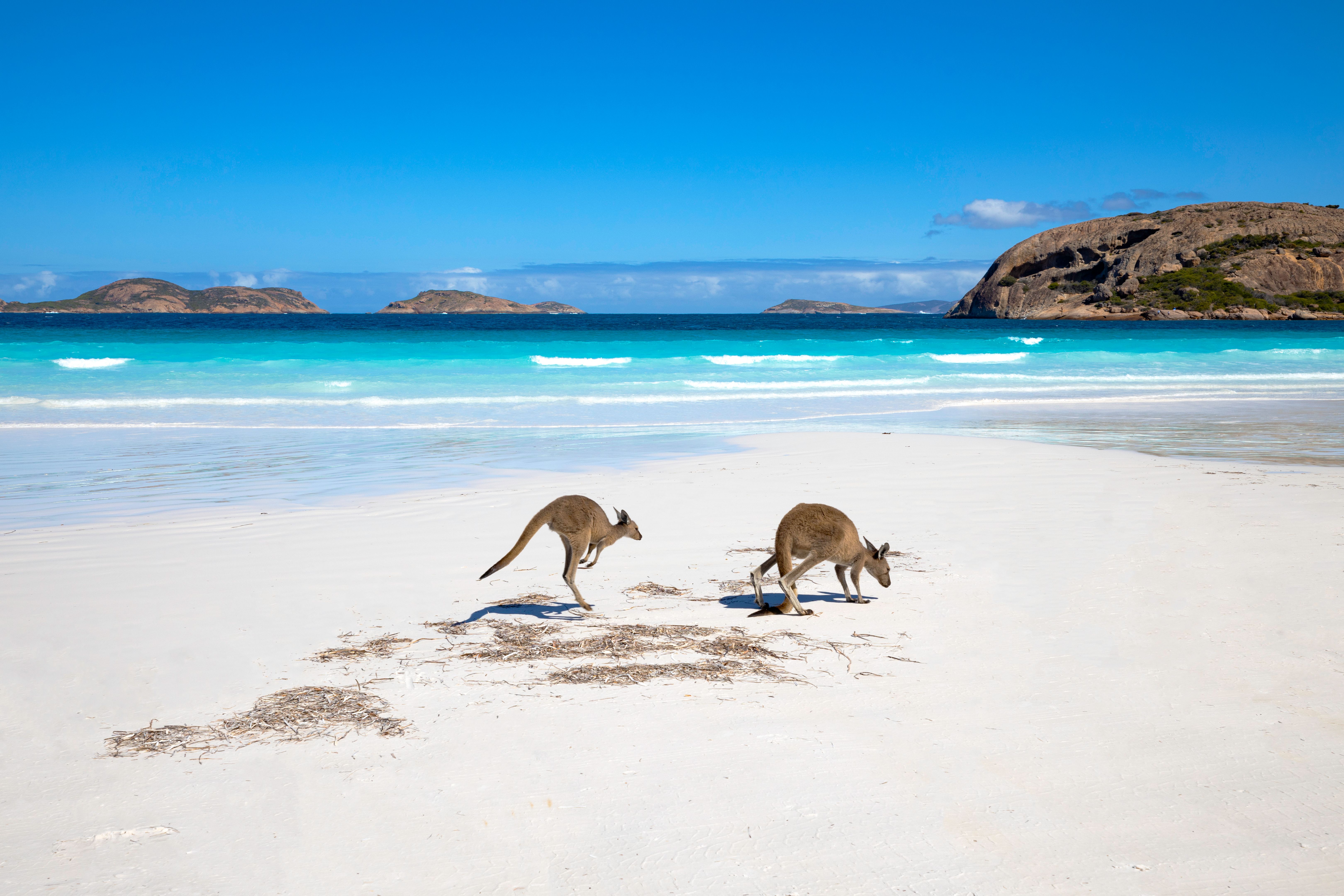 australia beach