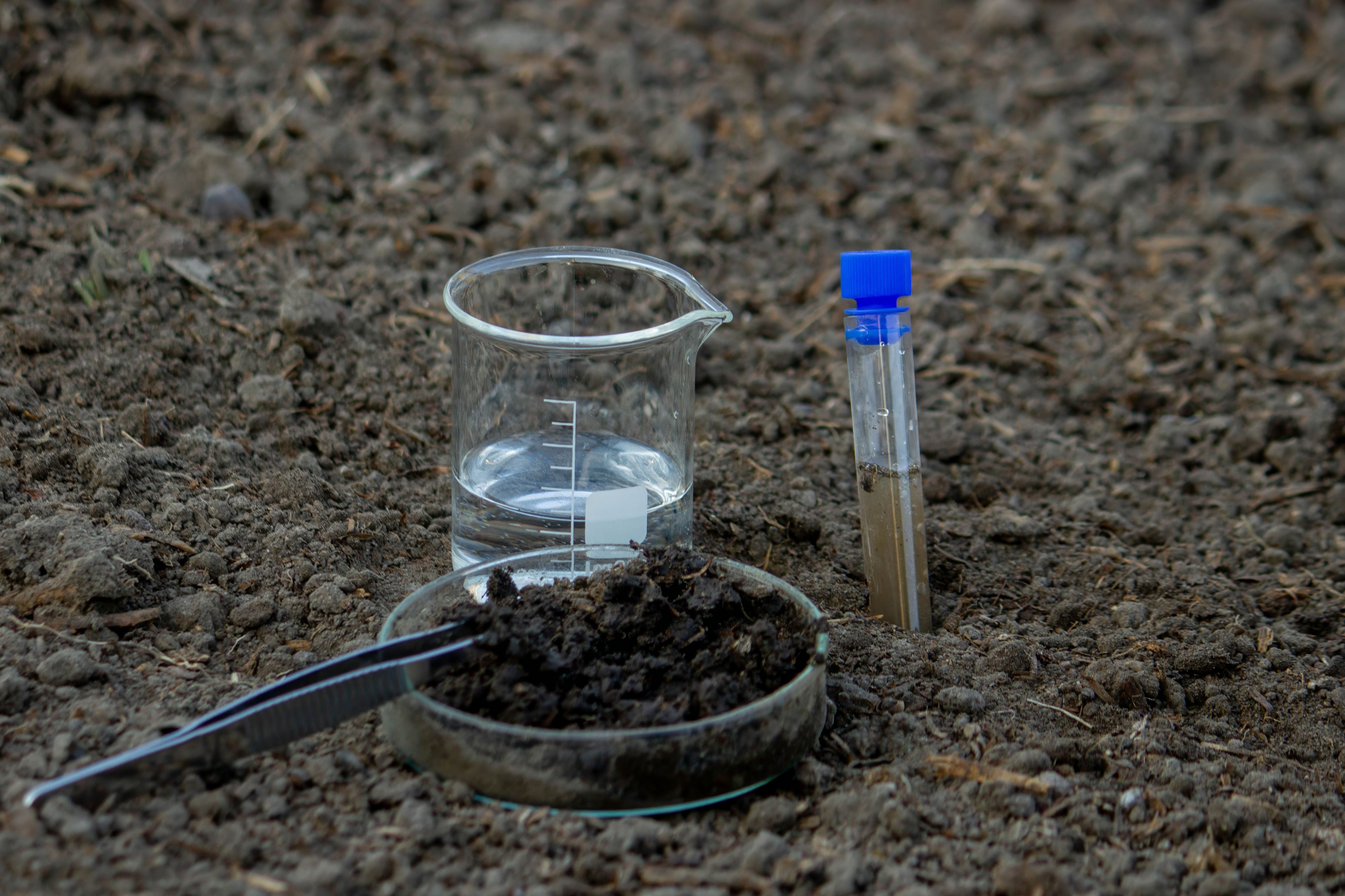 soil health testing