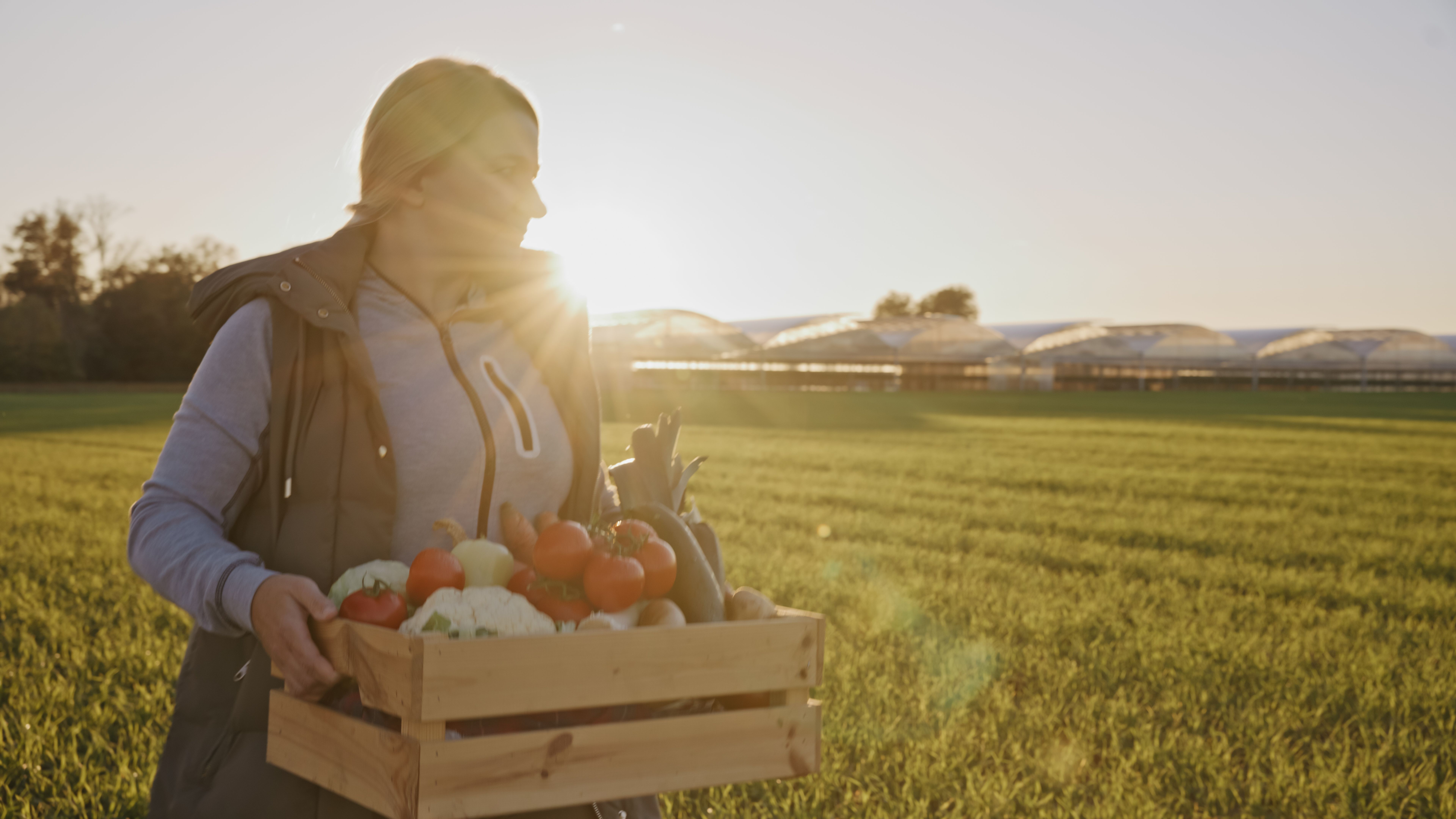 sustainable food practices