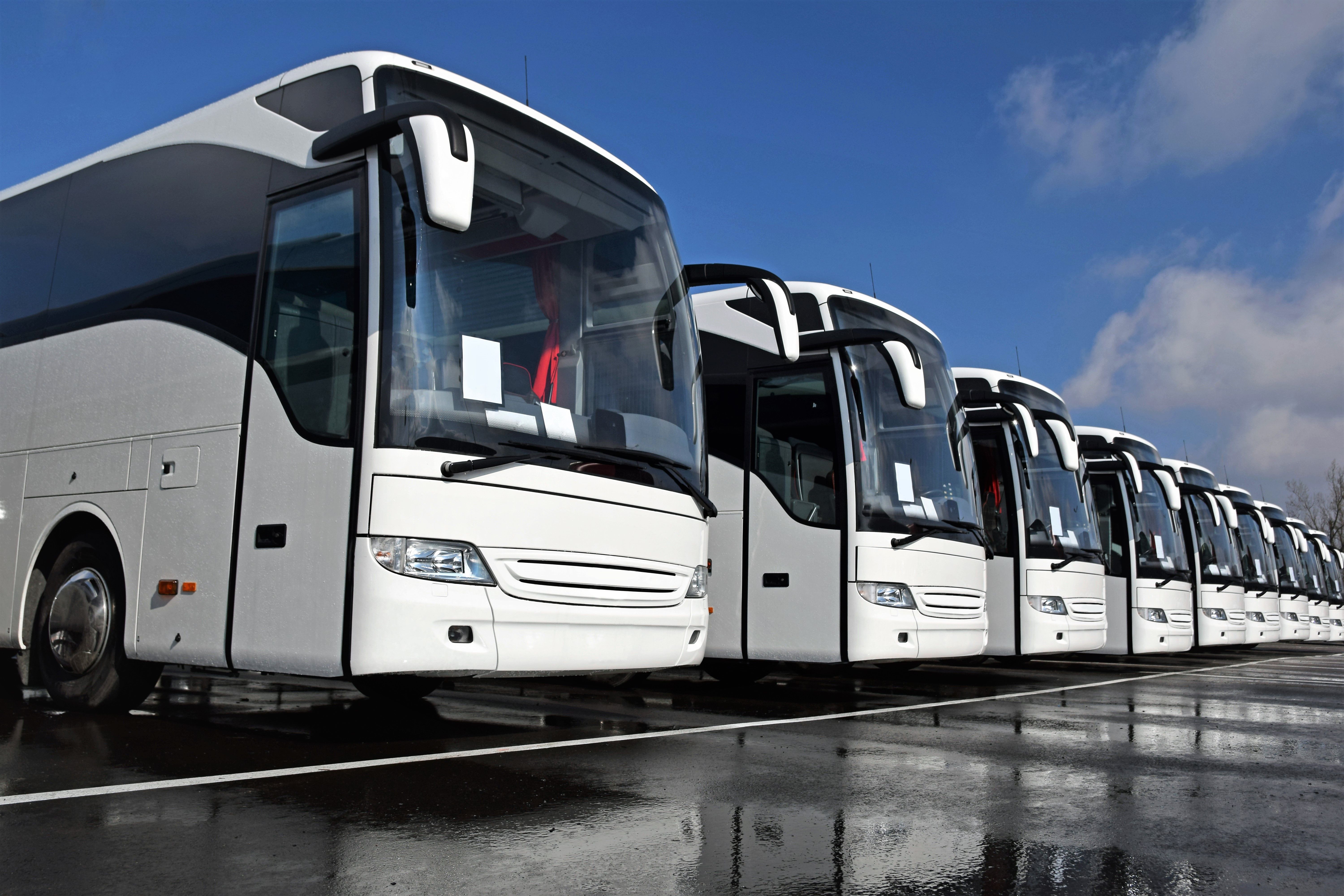 bus fleet