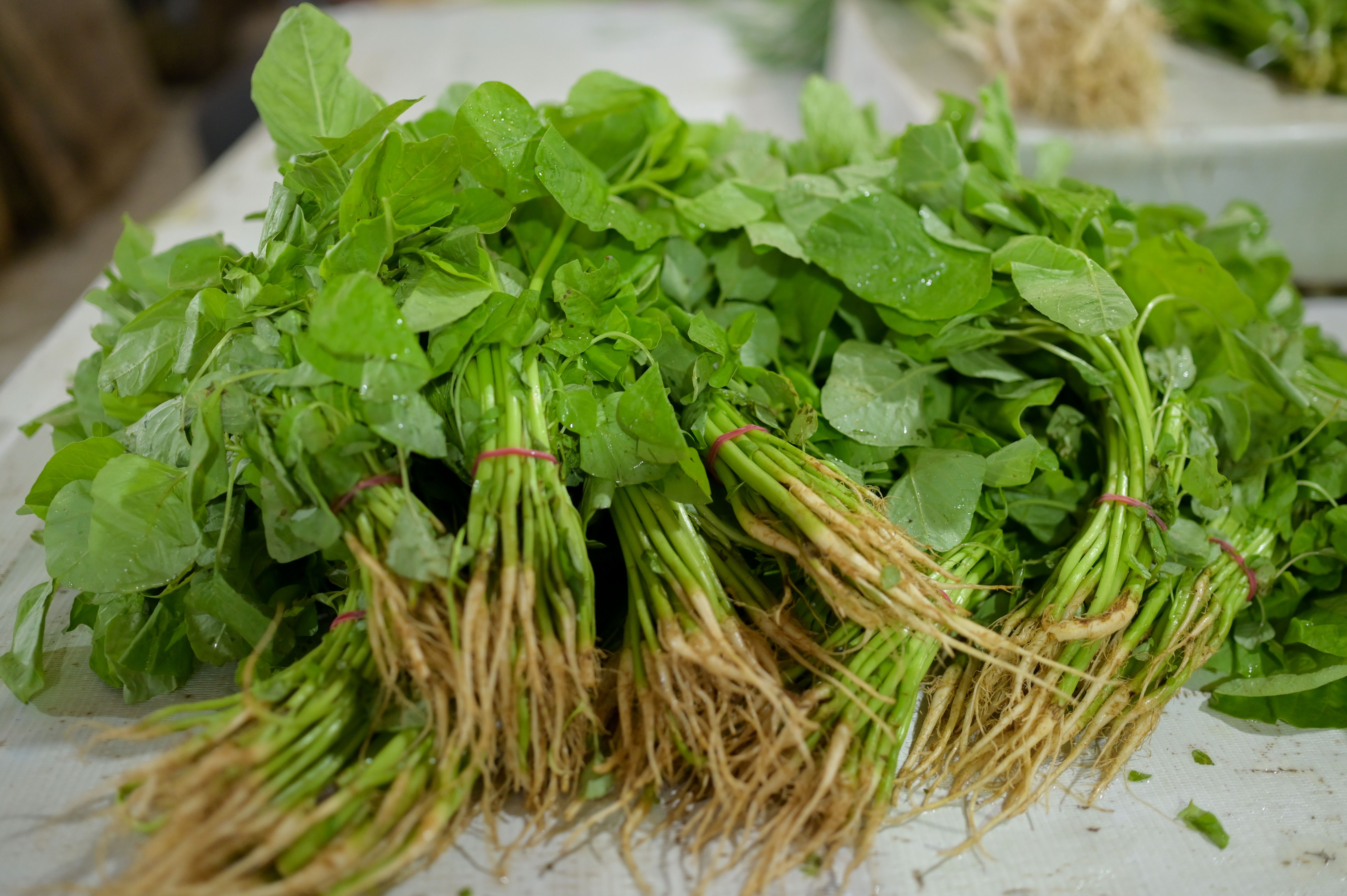 local fresh ingredients