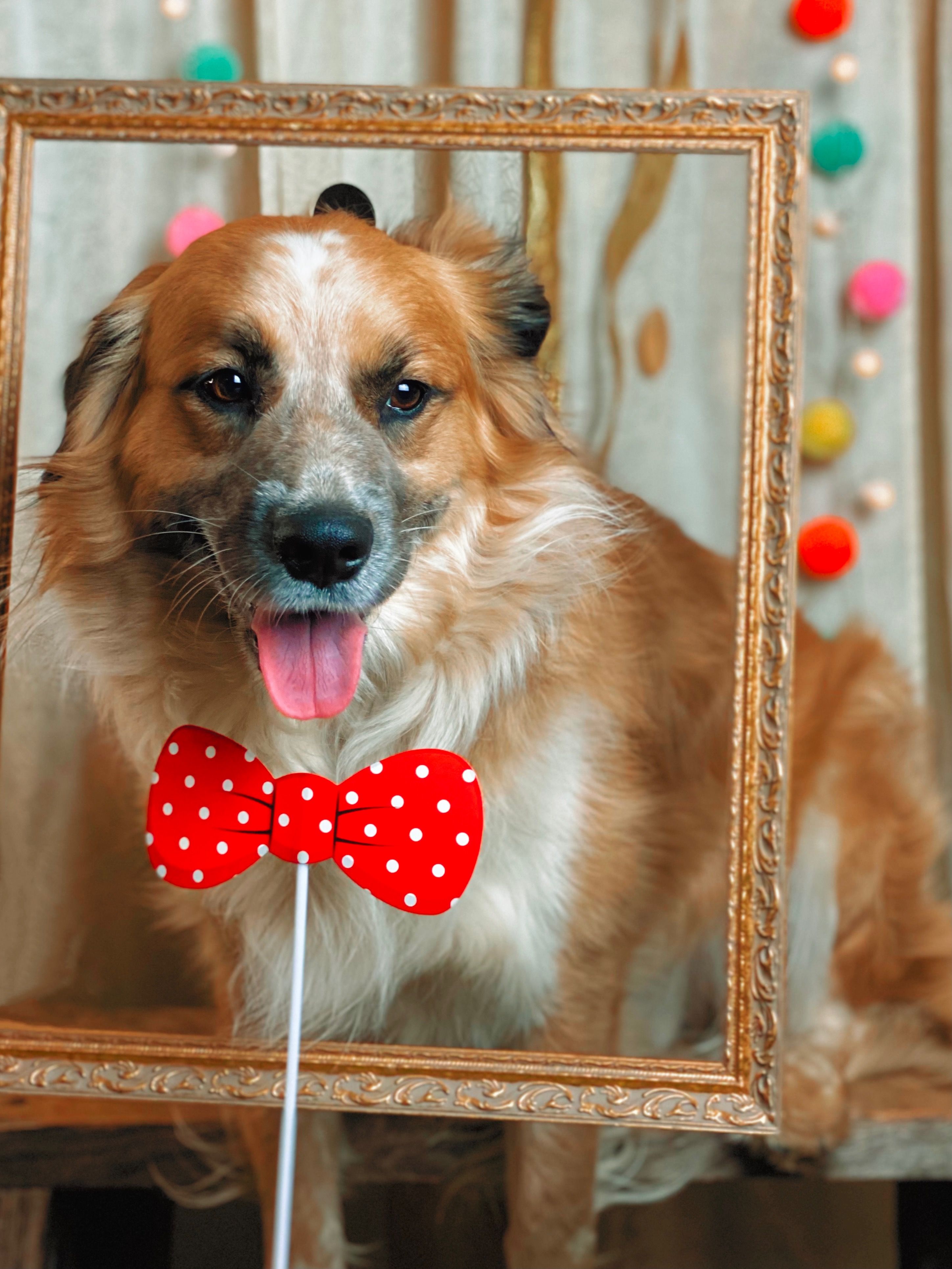 instagram photo booth