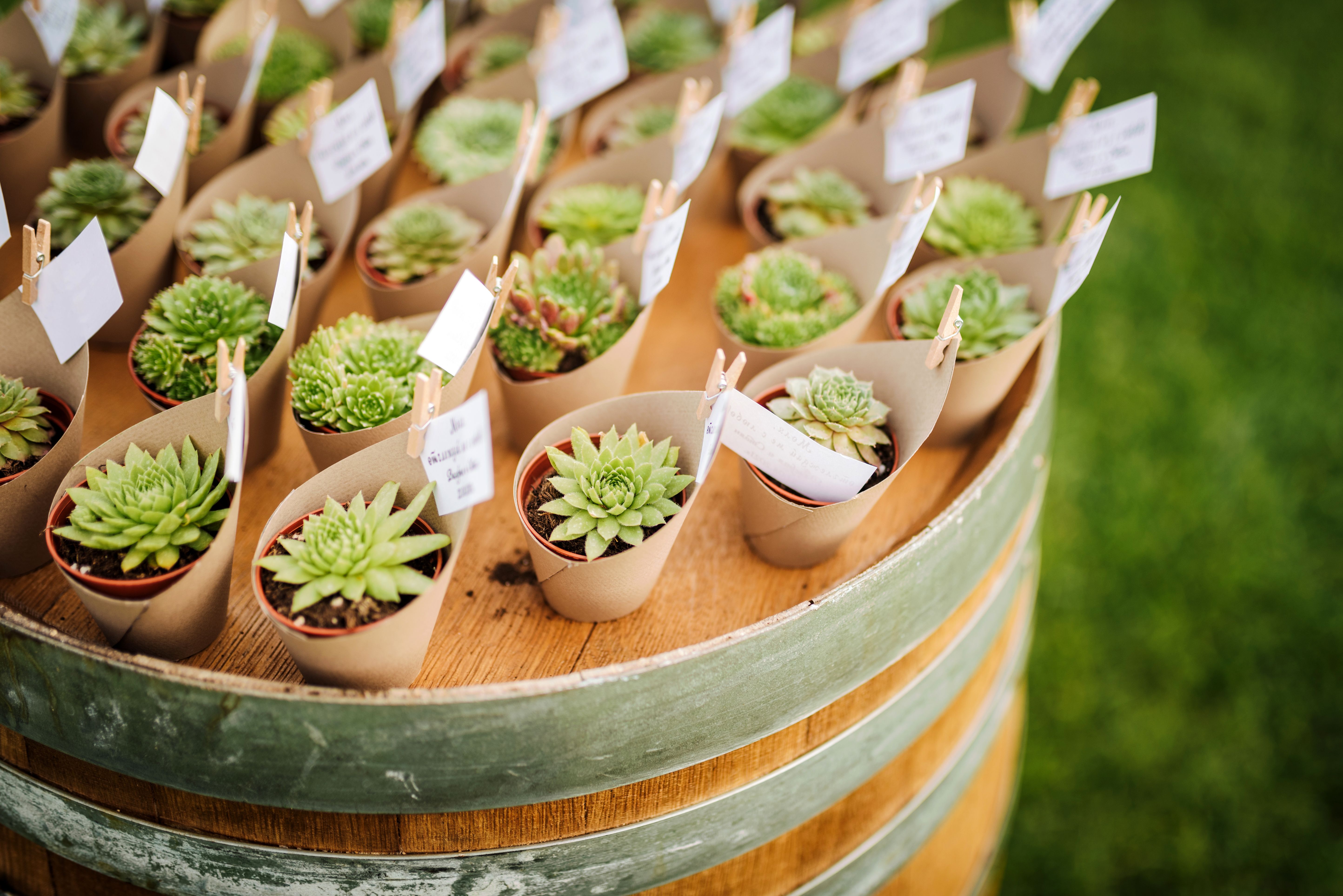 eco-friendly wedding