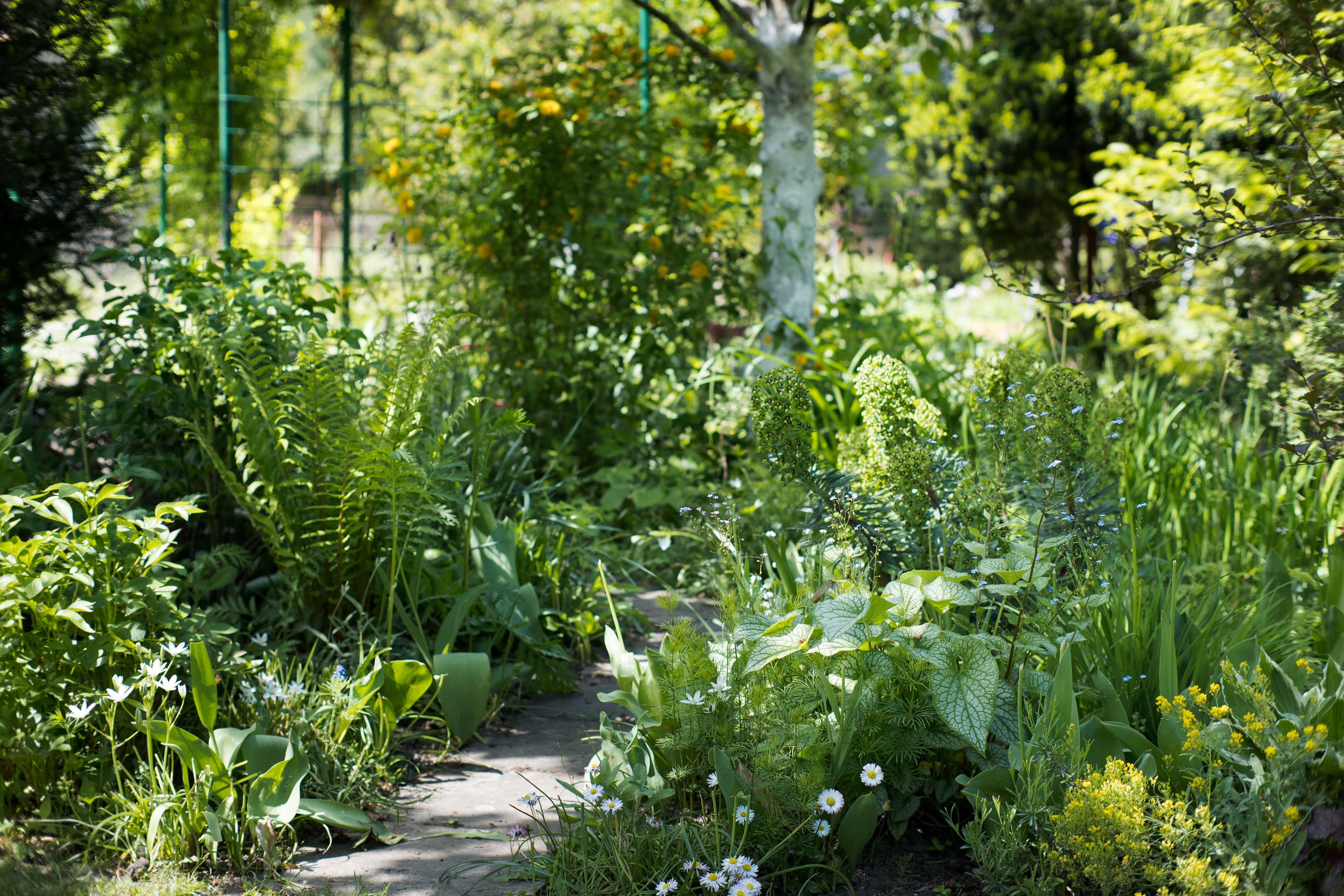garden shade