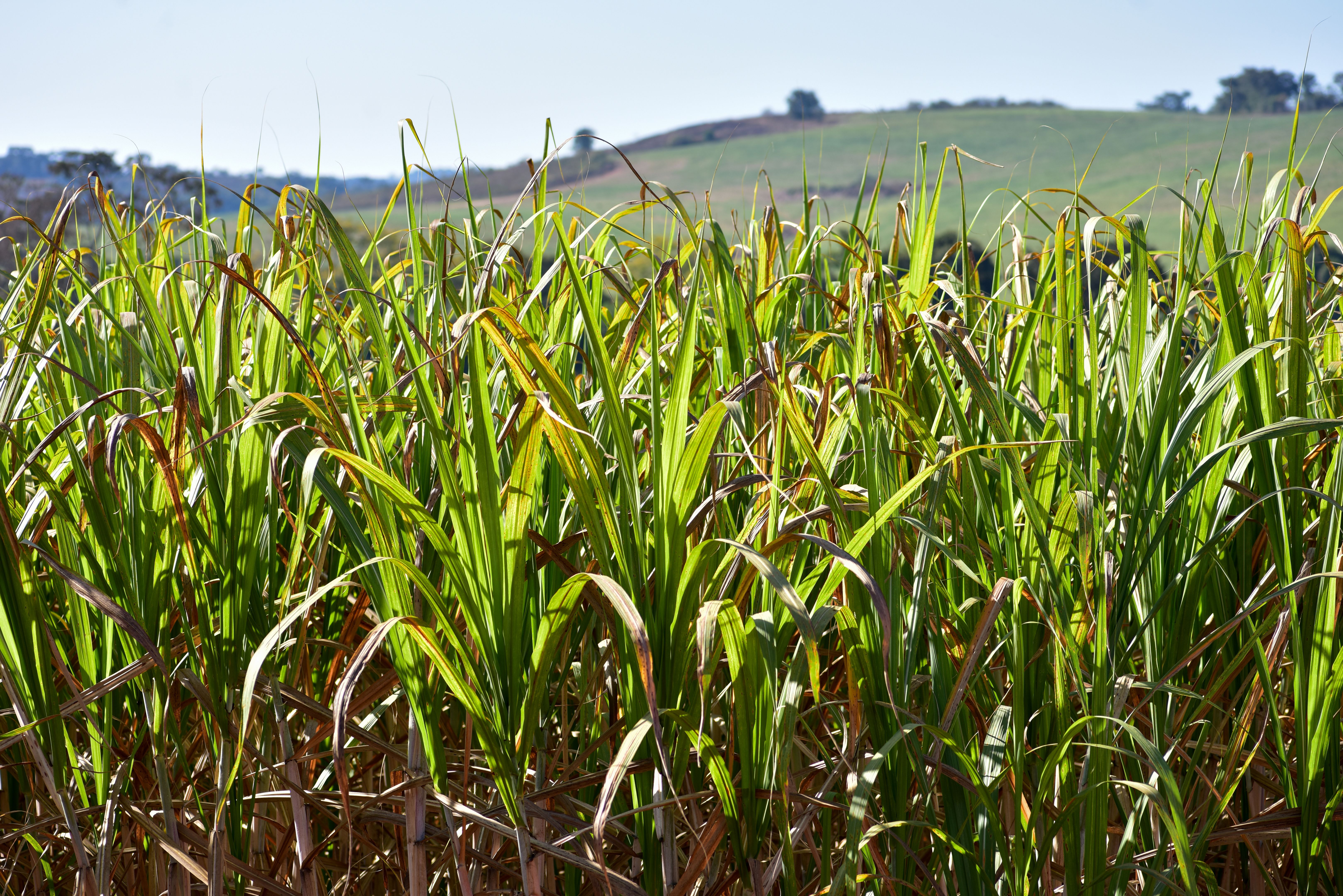 sazonalidade no comércio